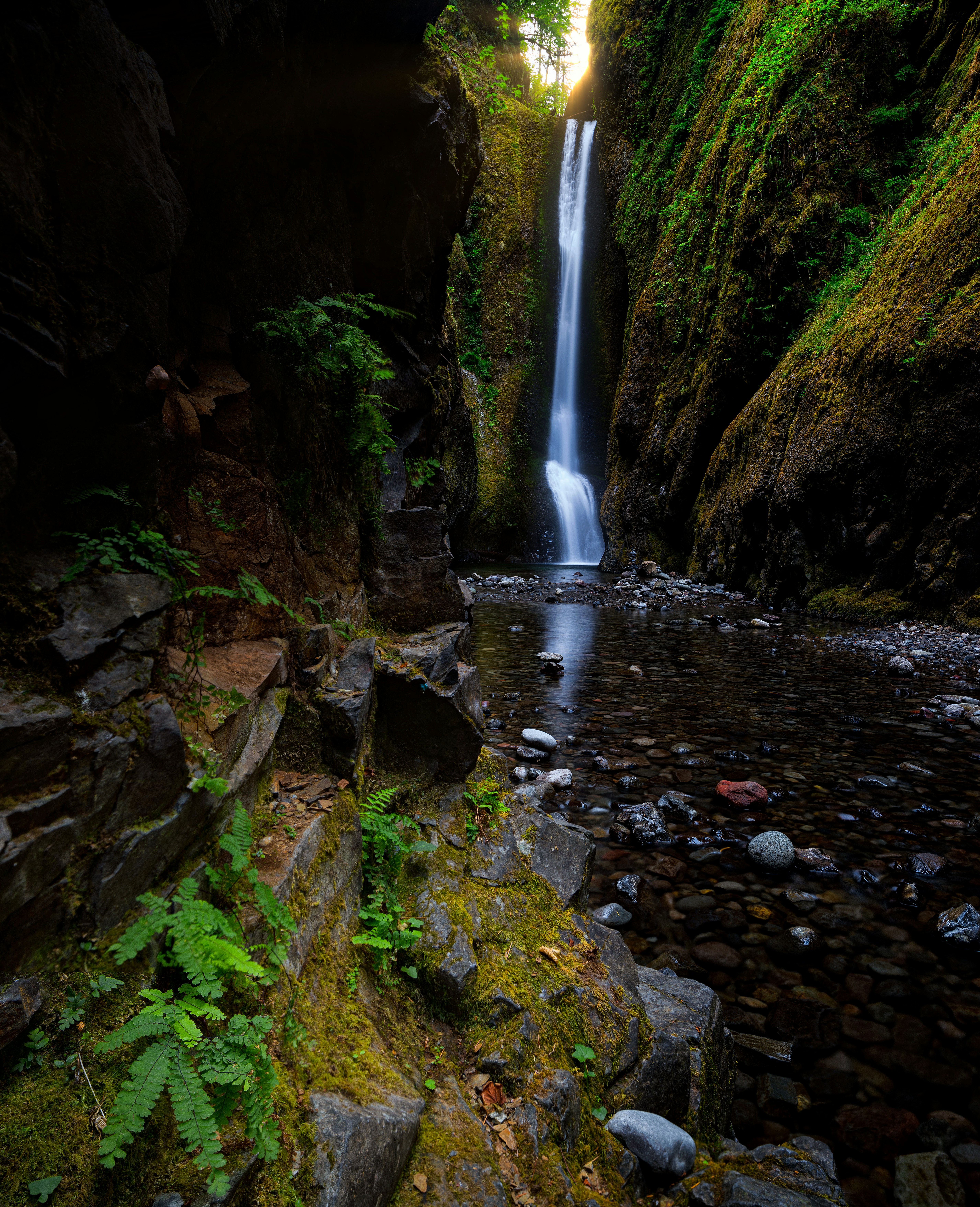 A small waterfall in the middle of a forest