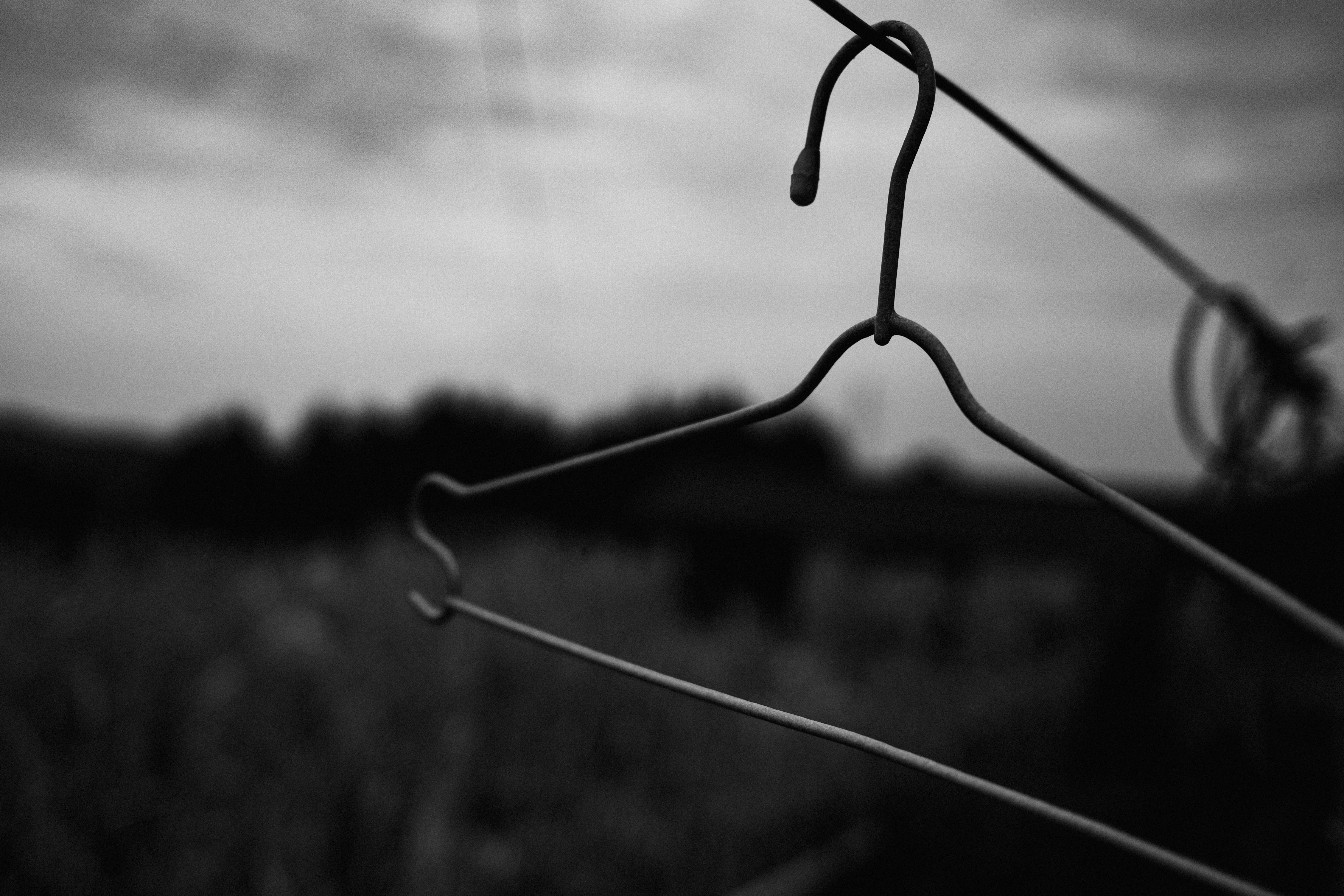 Photo by xingchenyan