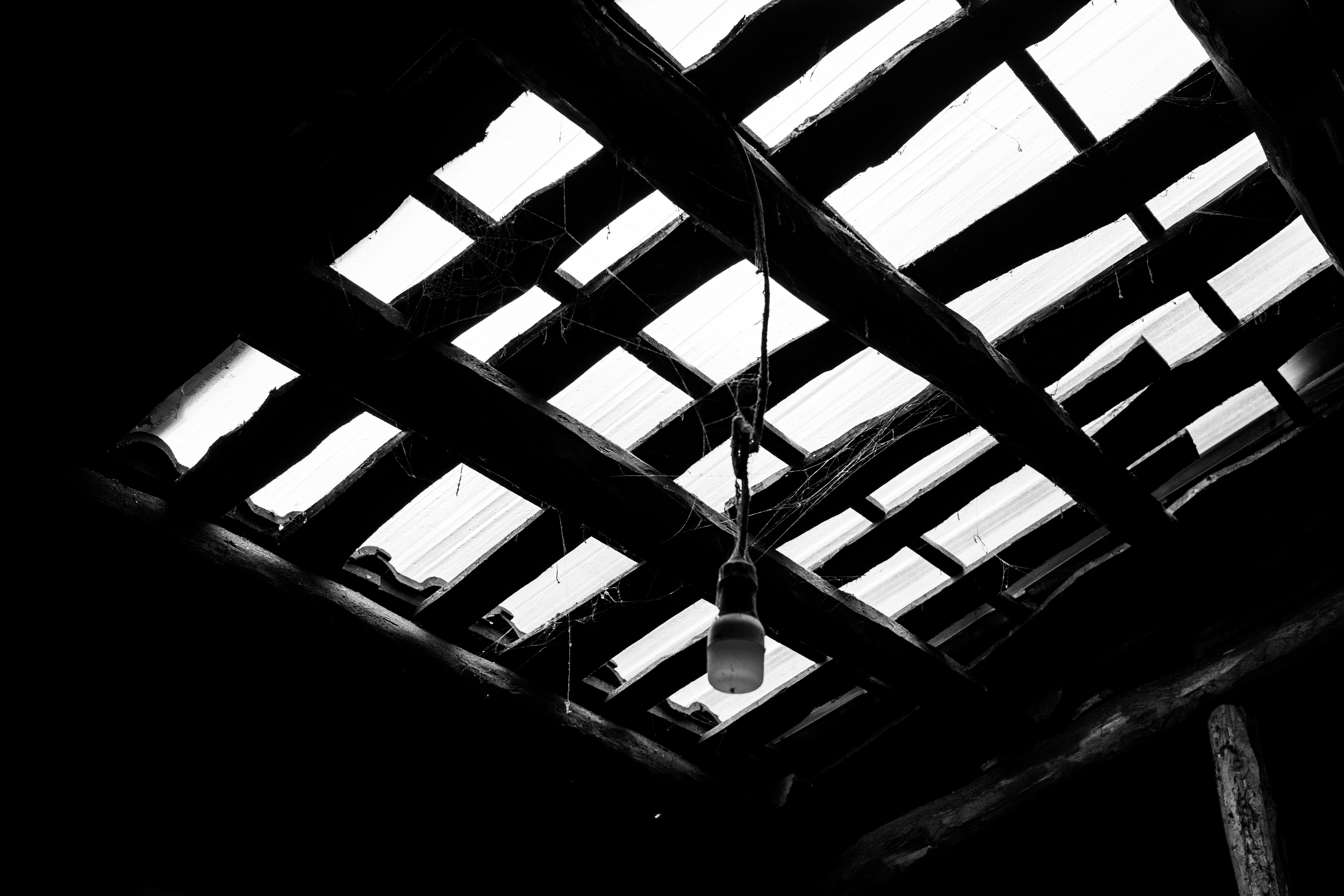 Photo by xingchenyan