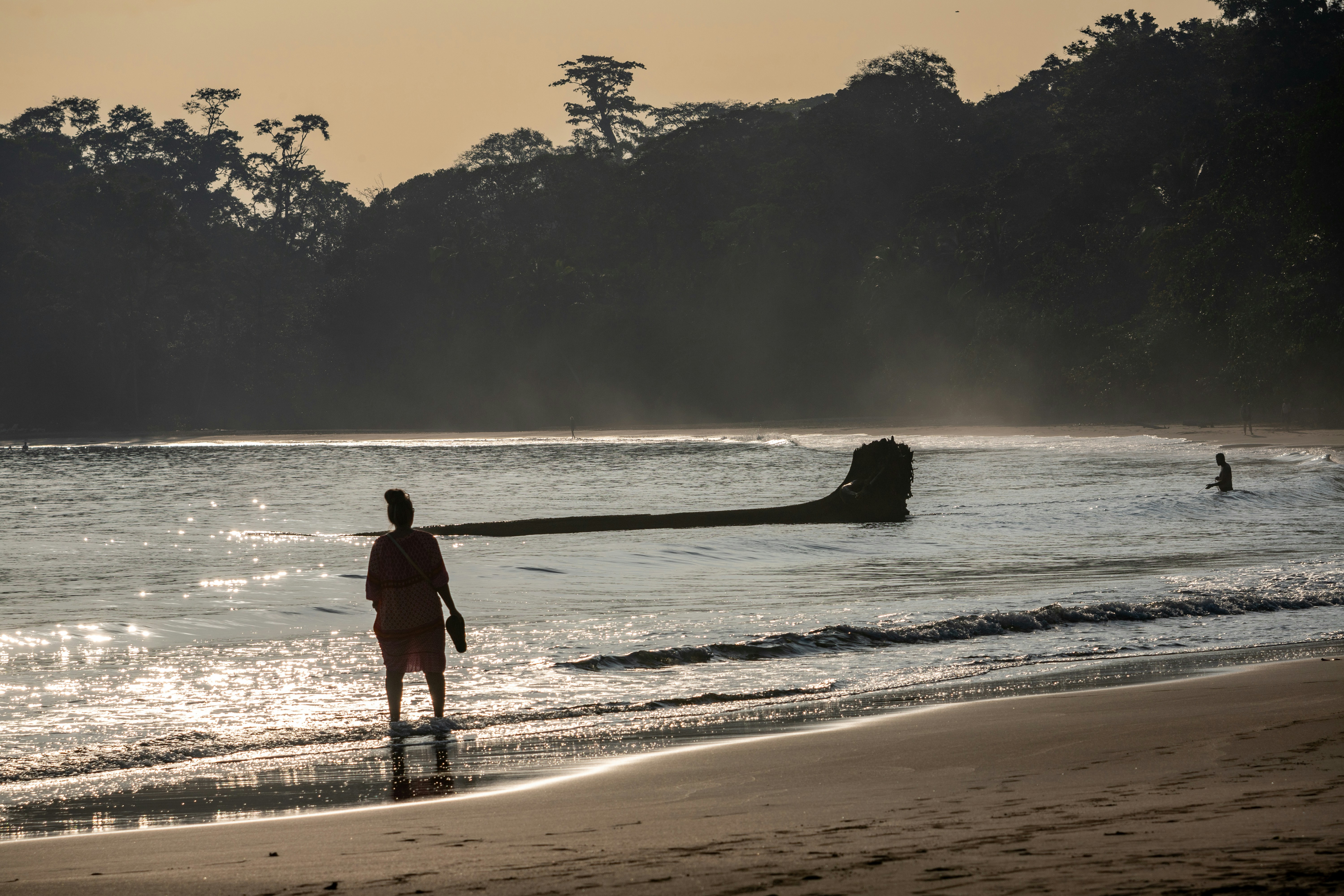 Deine Einführungsveranstaltung in Cahuita