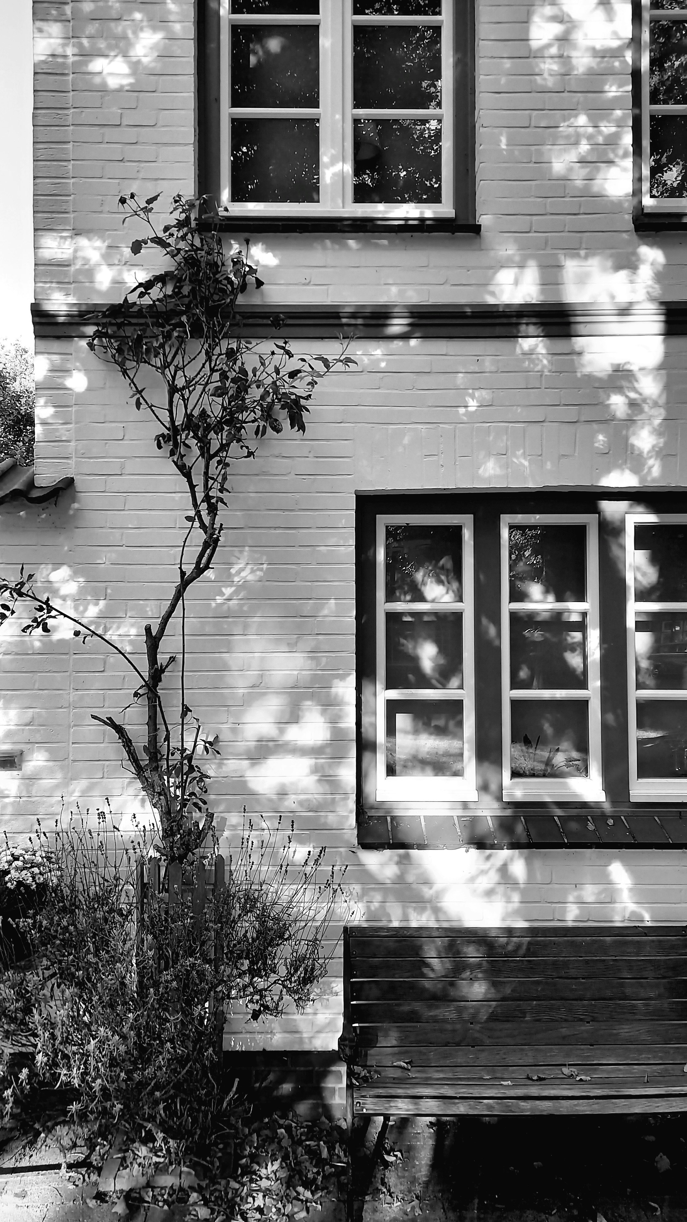 Photo by frankweichelt