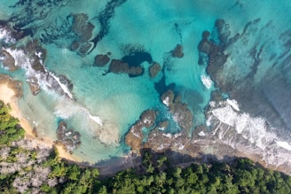An aerial view of a beach and ocean