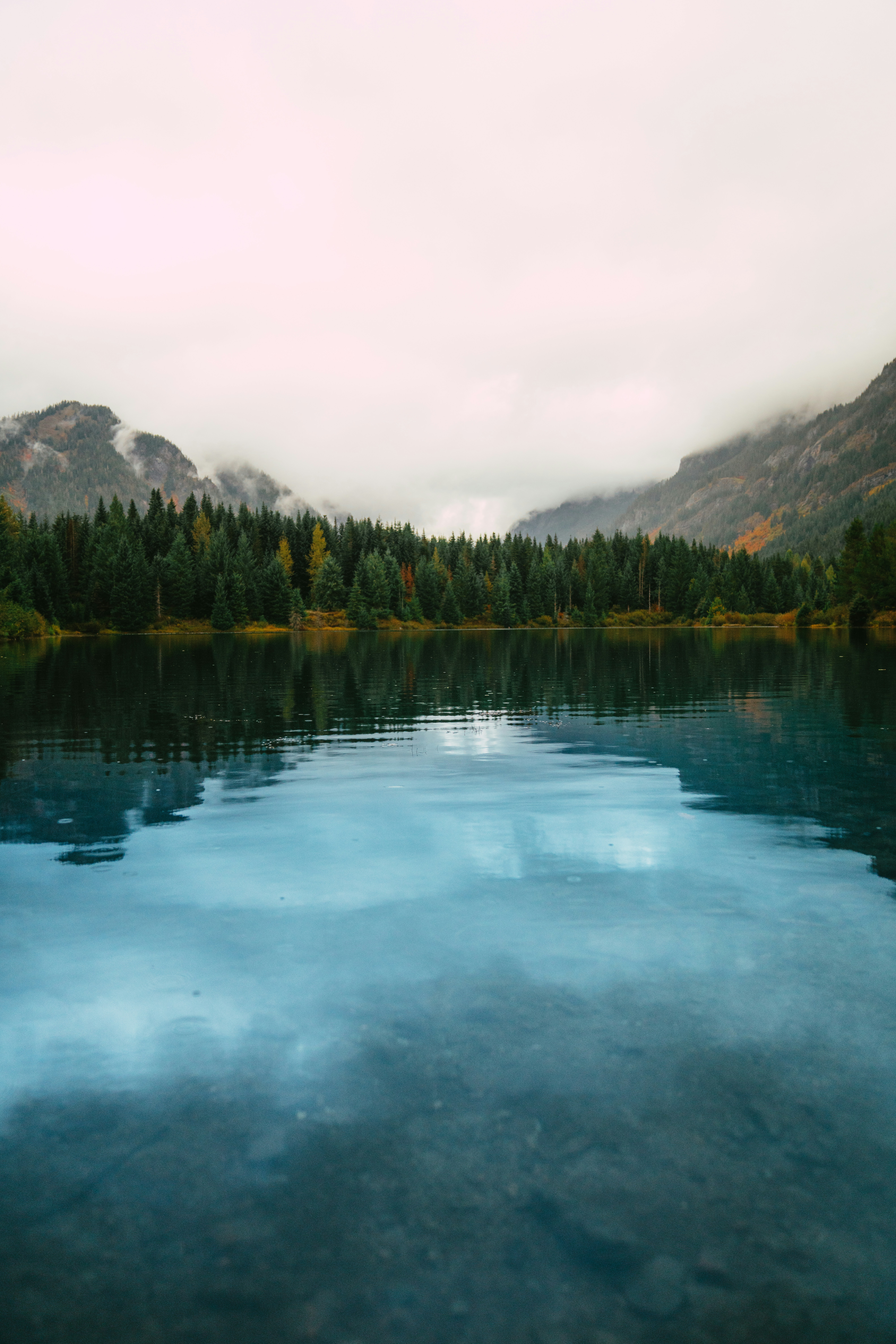 A body of water surrounded by mountains and trees