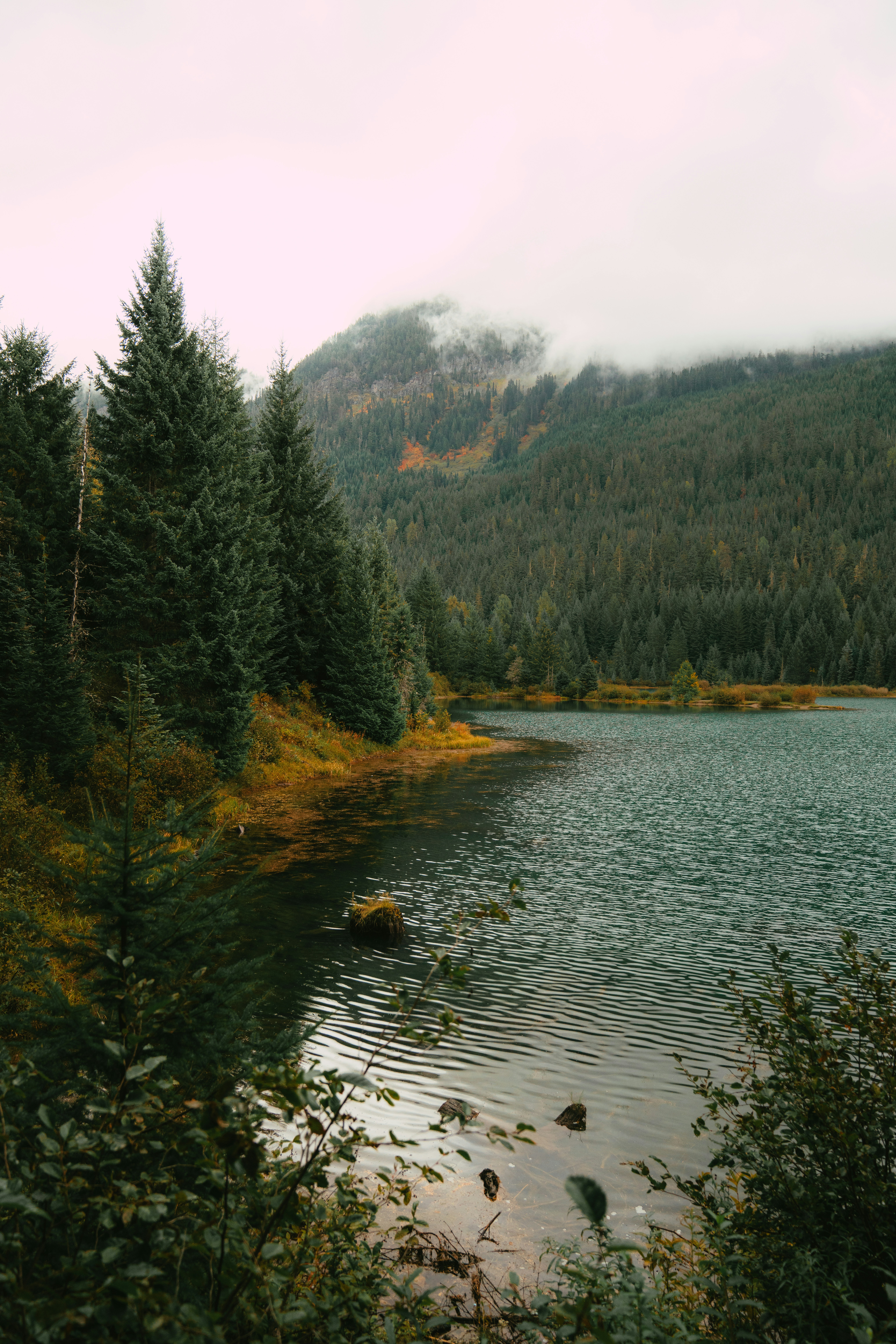 A body of water surrounded by trees and mountains