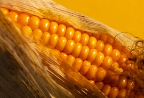 A close up of a corn on the cob