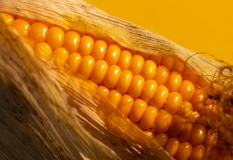 A close up of a corn on the cob