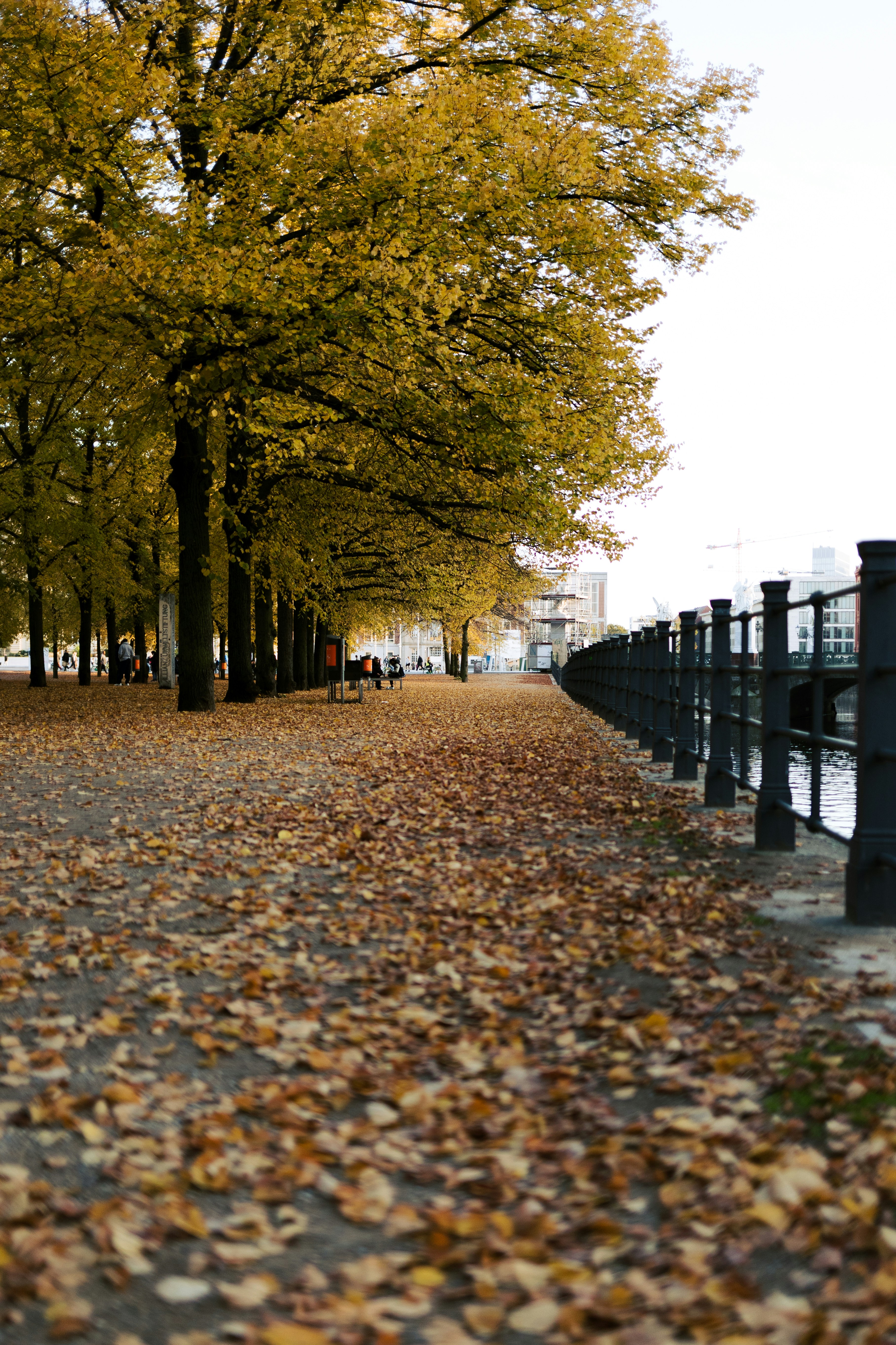 Photo by nikita_pishchugin