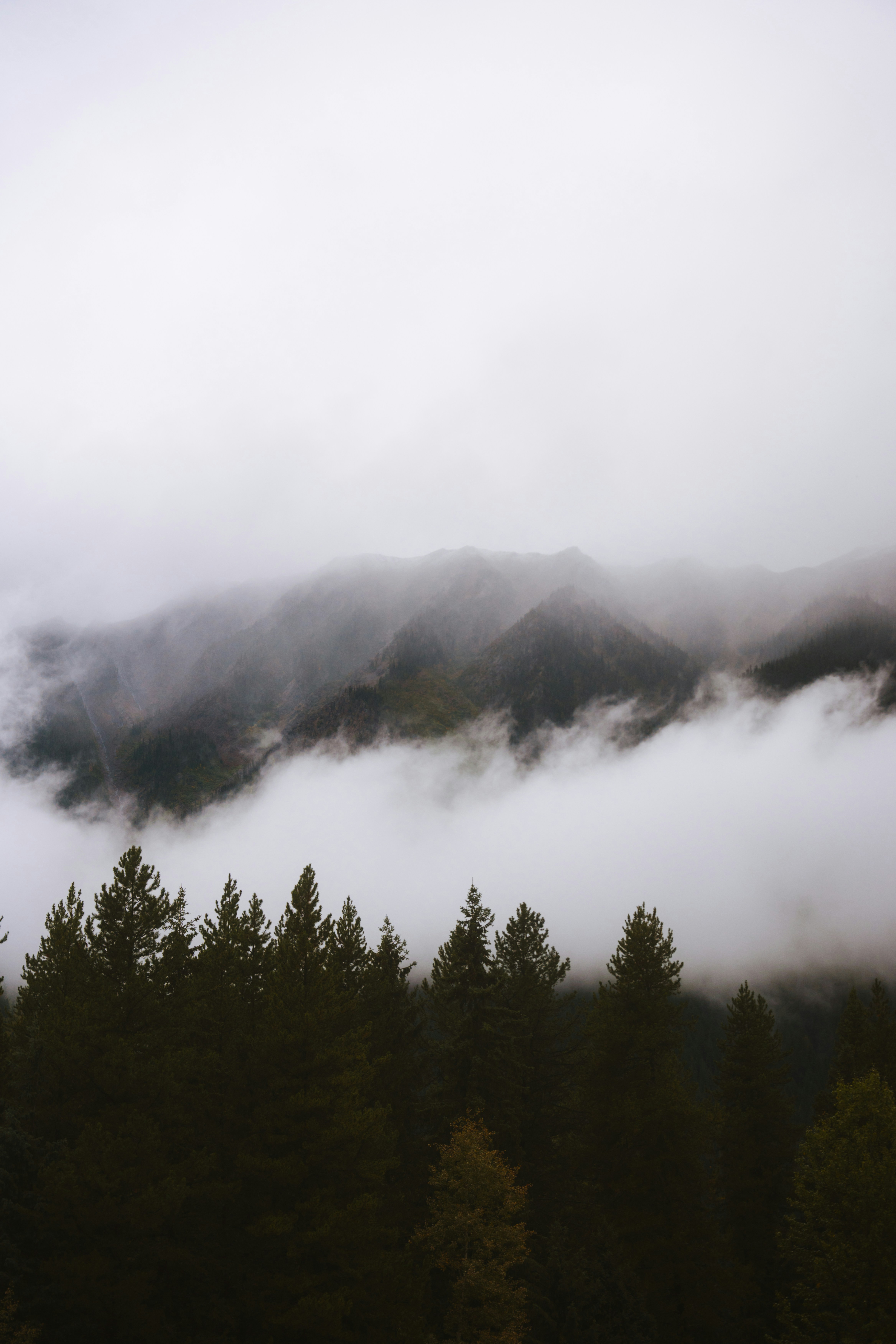 Photo by bylukemiller