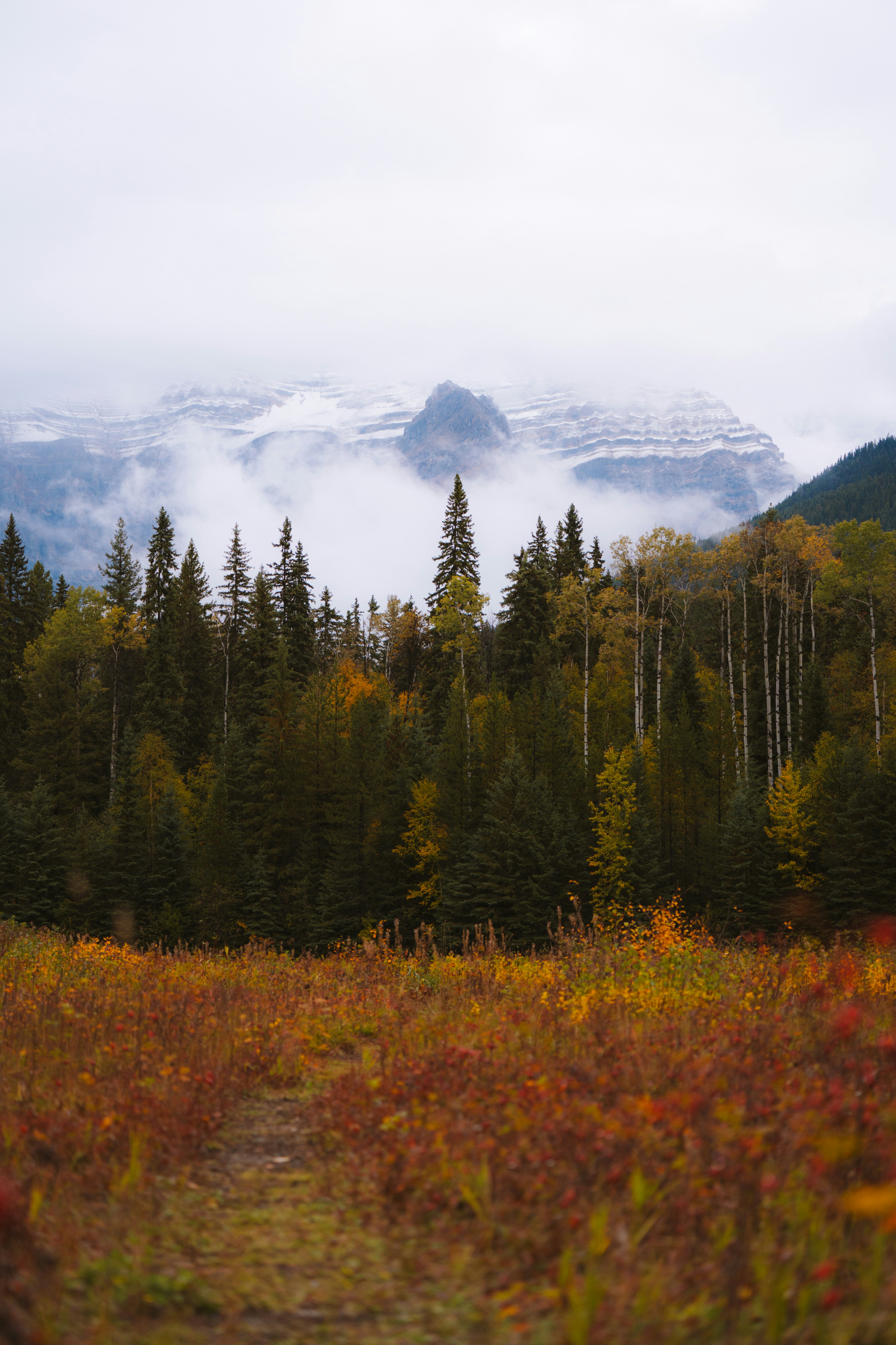 Photo by bylukemiller