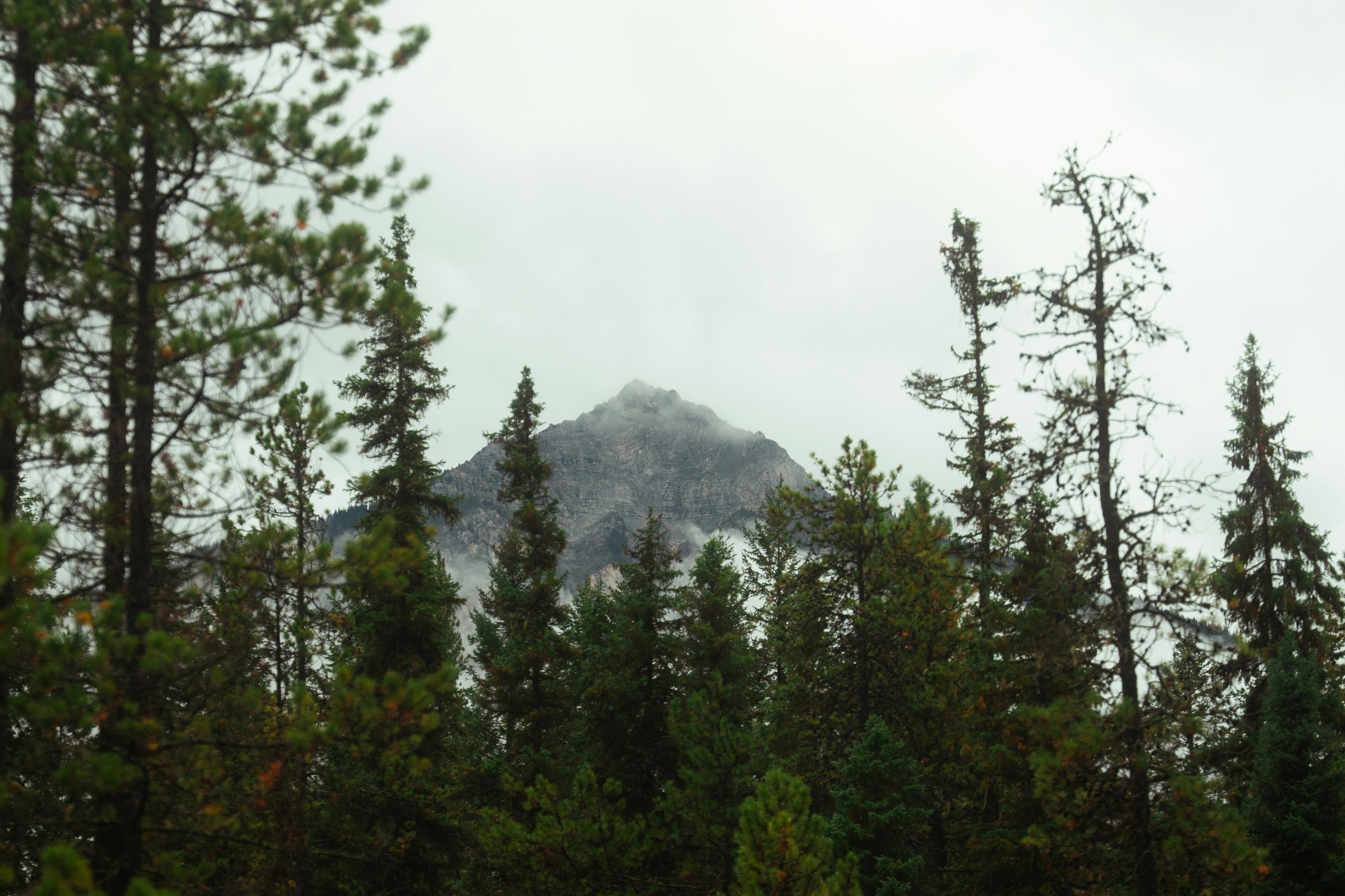 Photo by bylukemiller