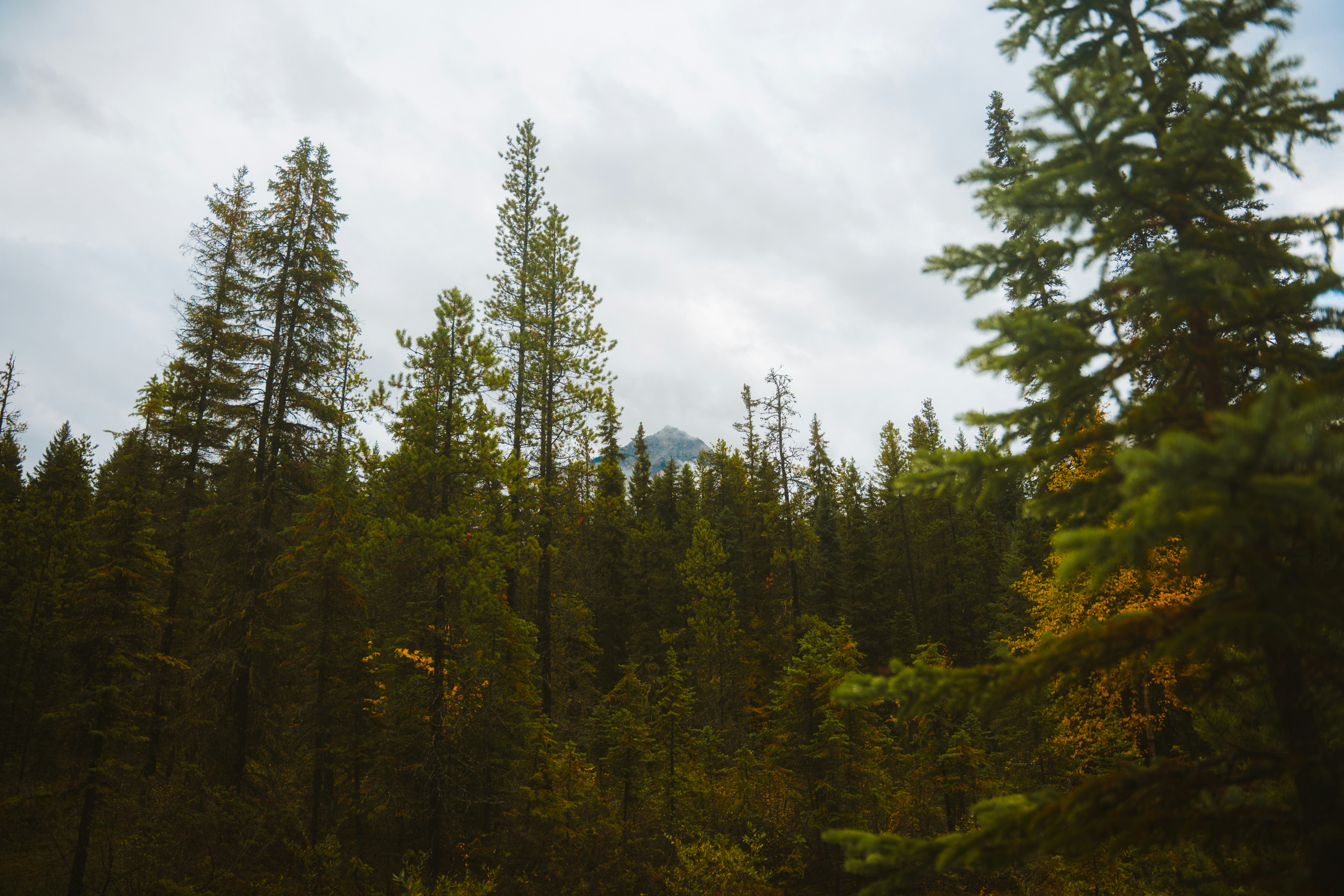 Photo by bylukemiller