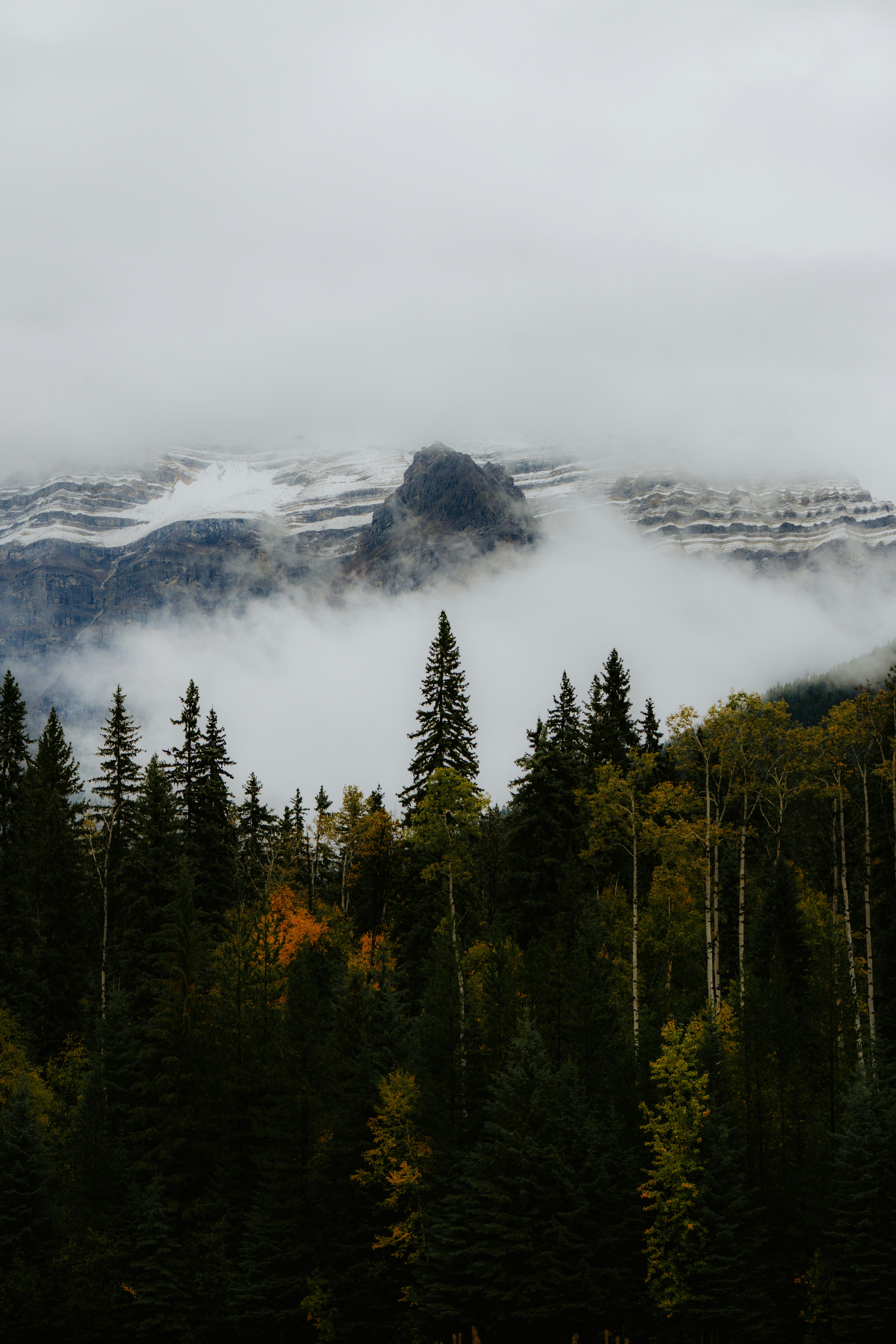 Photo by bylukemiller