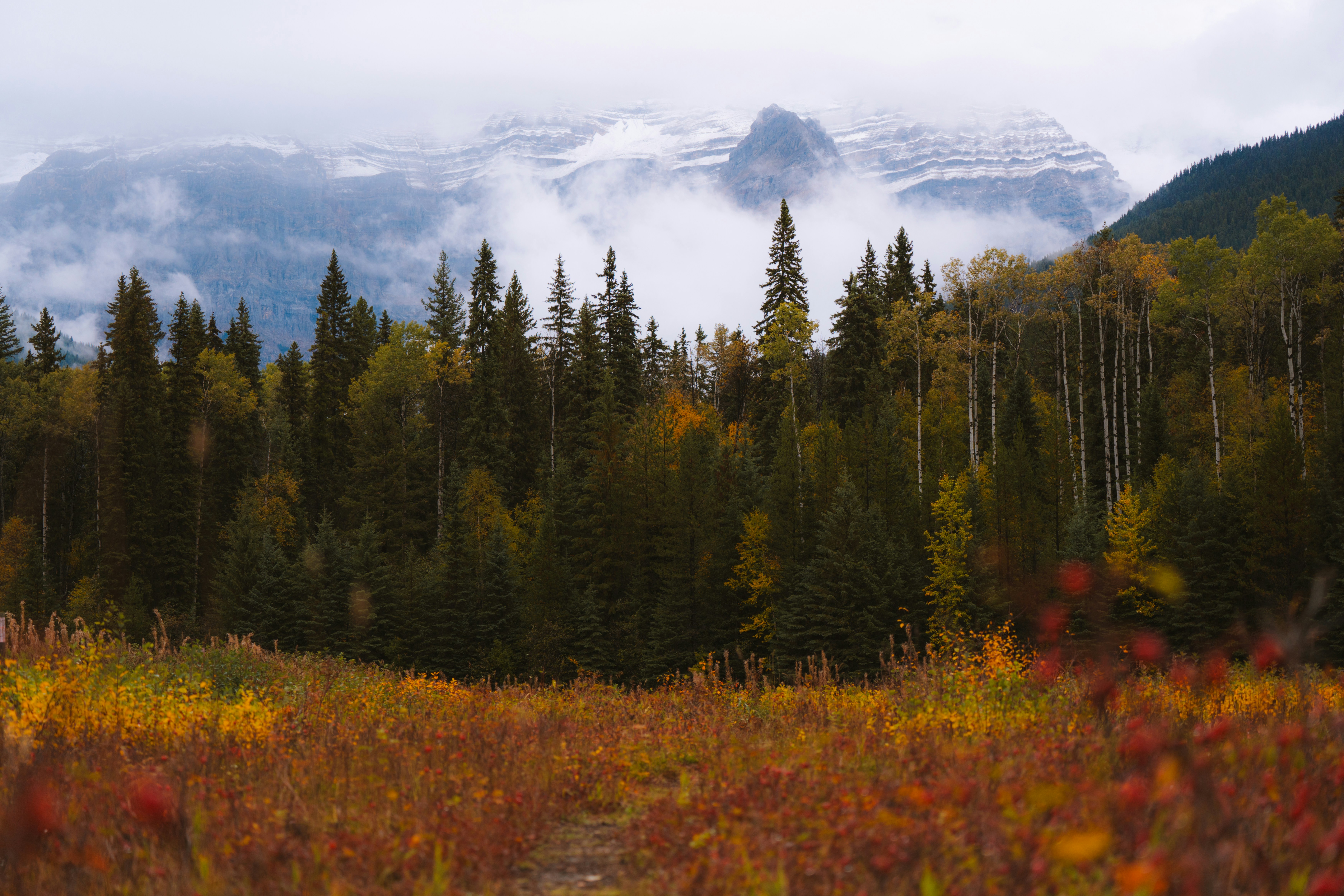 Photo by bylukemiller