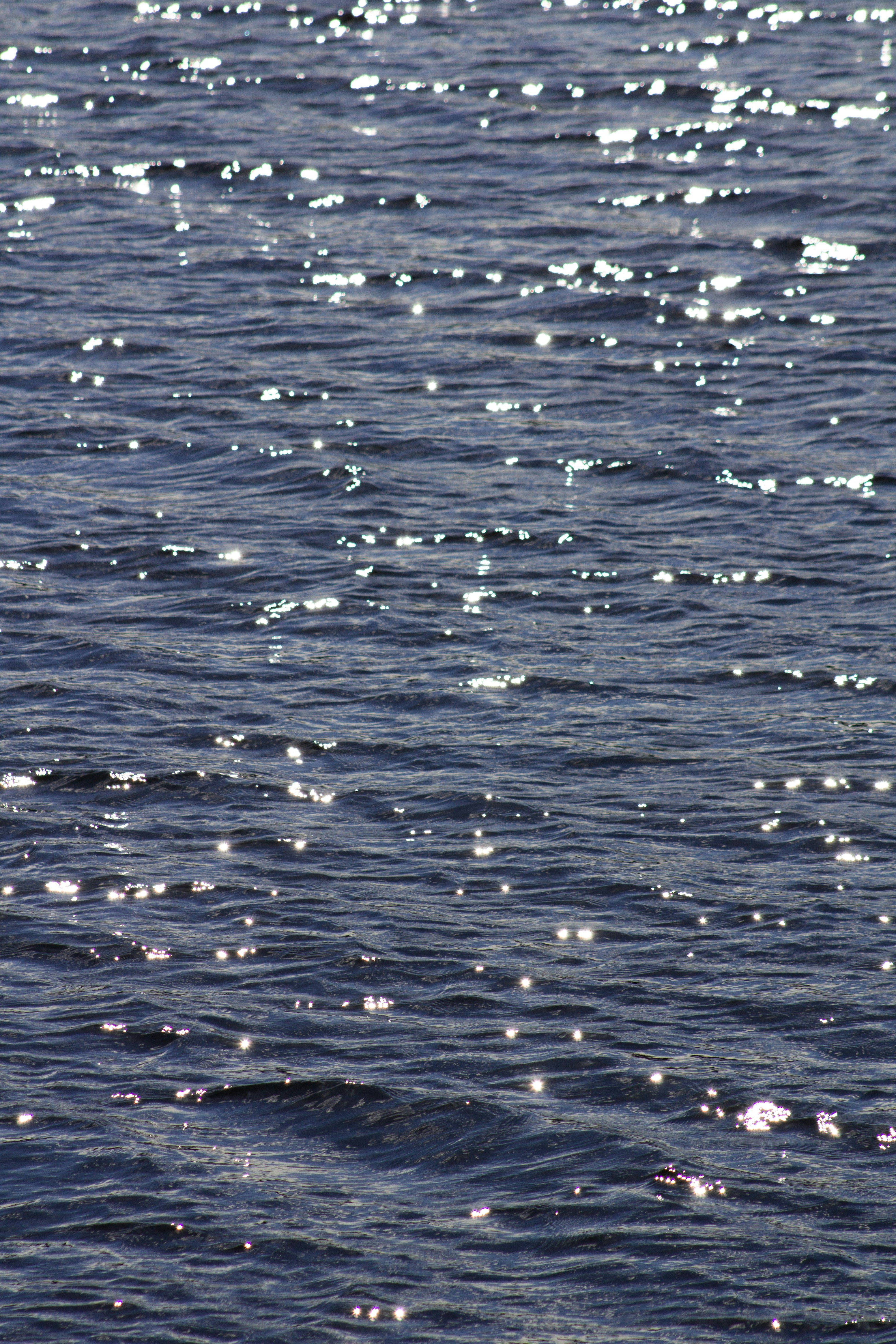 Photo by charlysey278