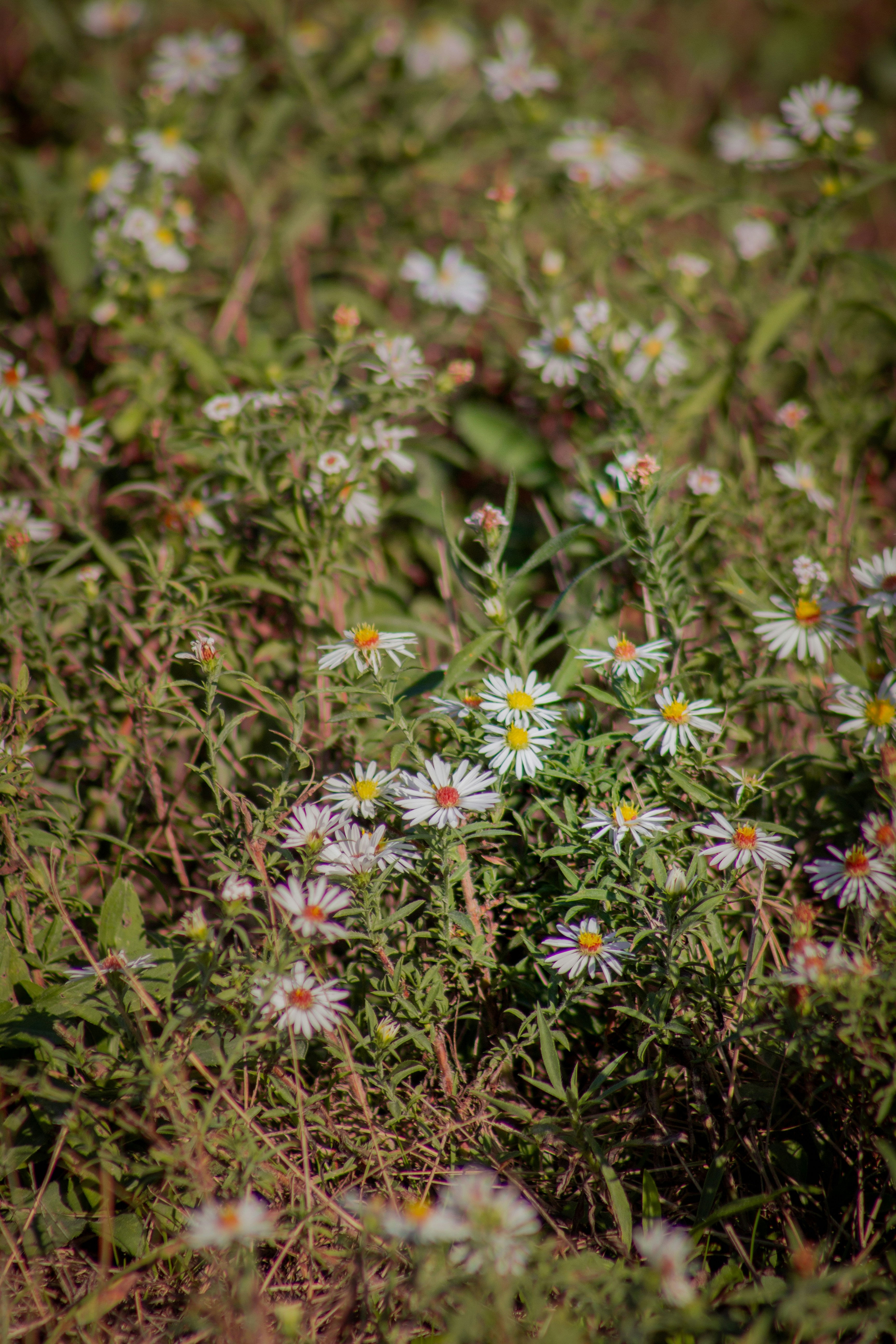 Photo by charlysey278