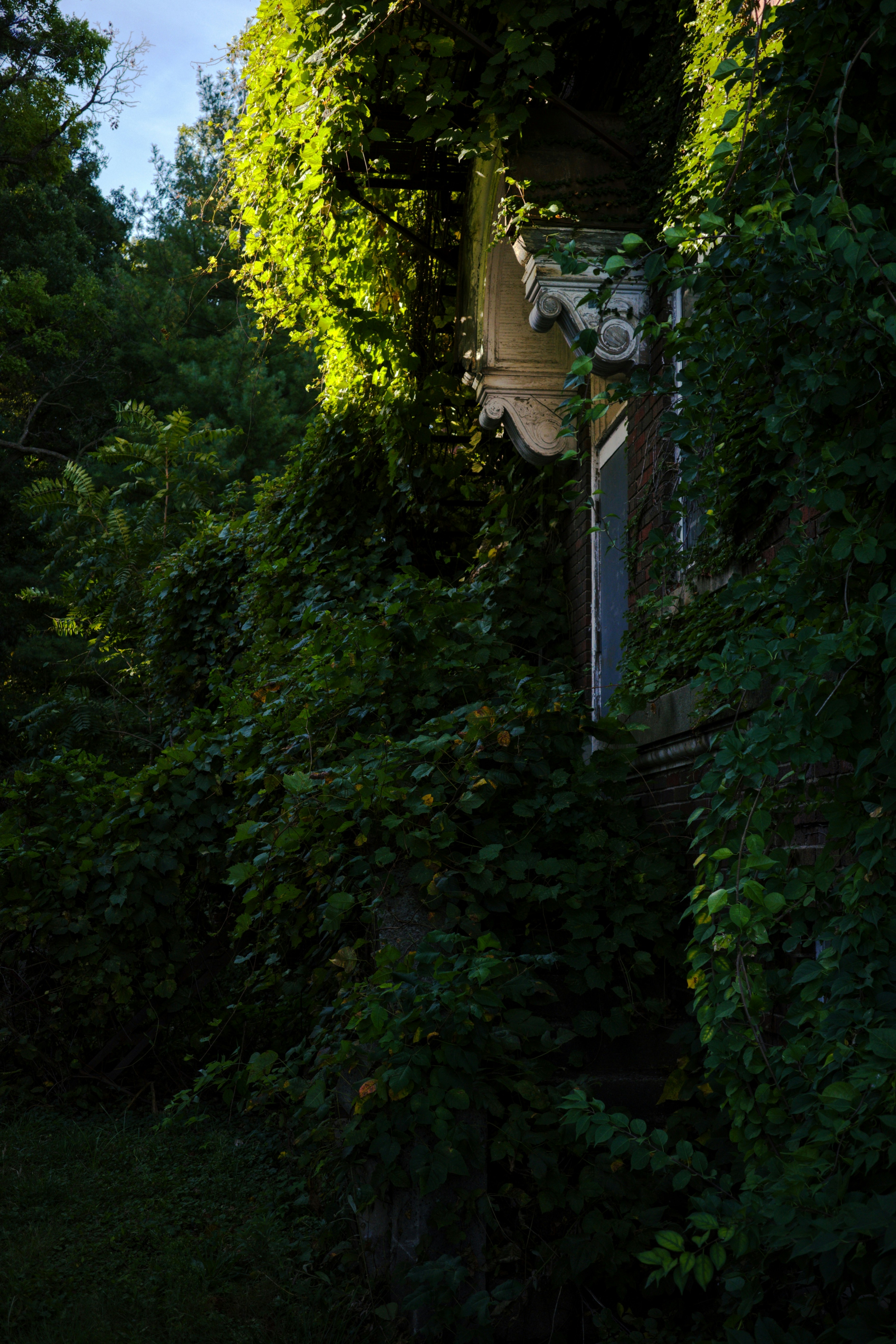 Photo by cam_ballard