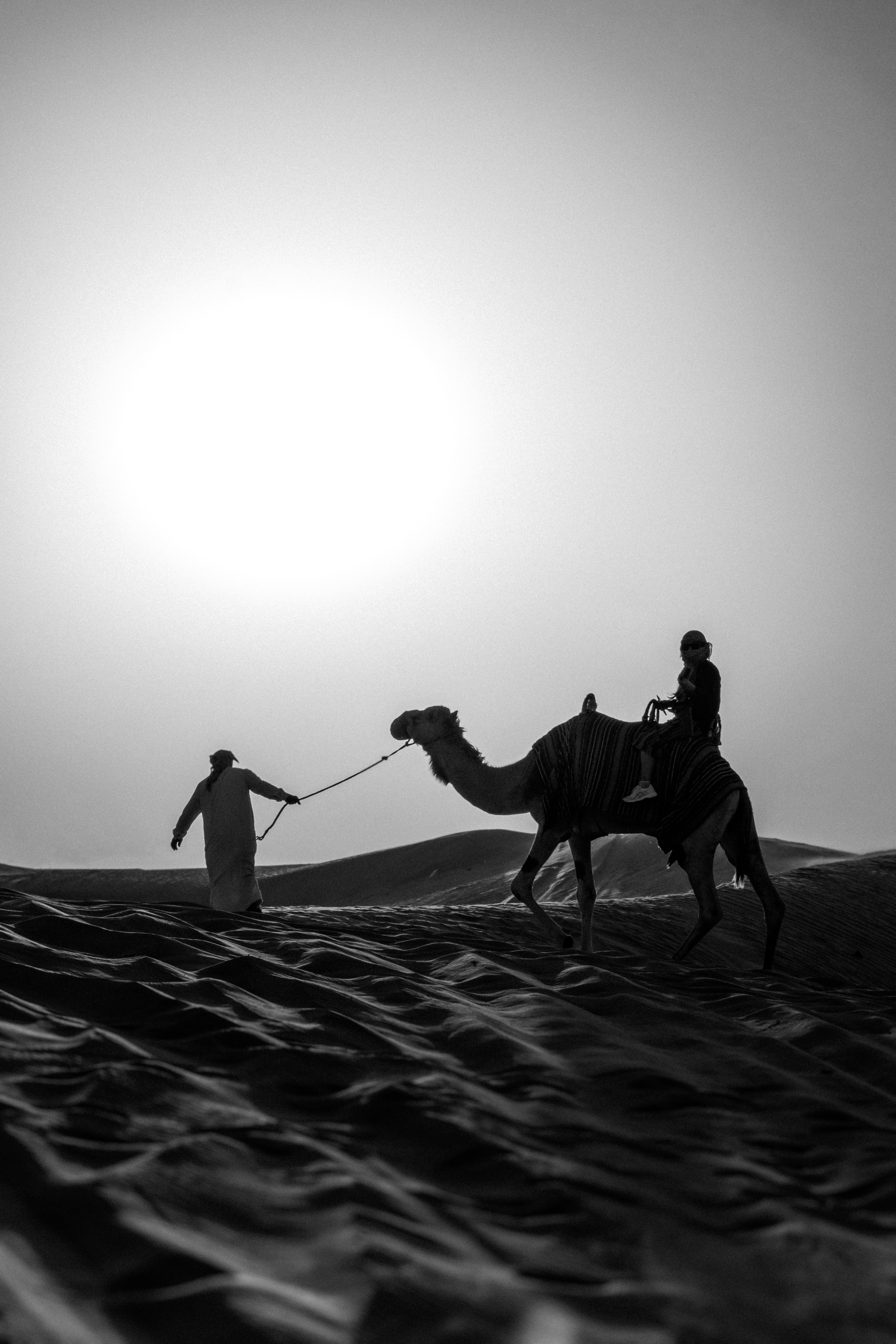 A man riding a camel across a desert