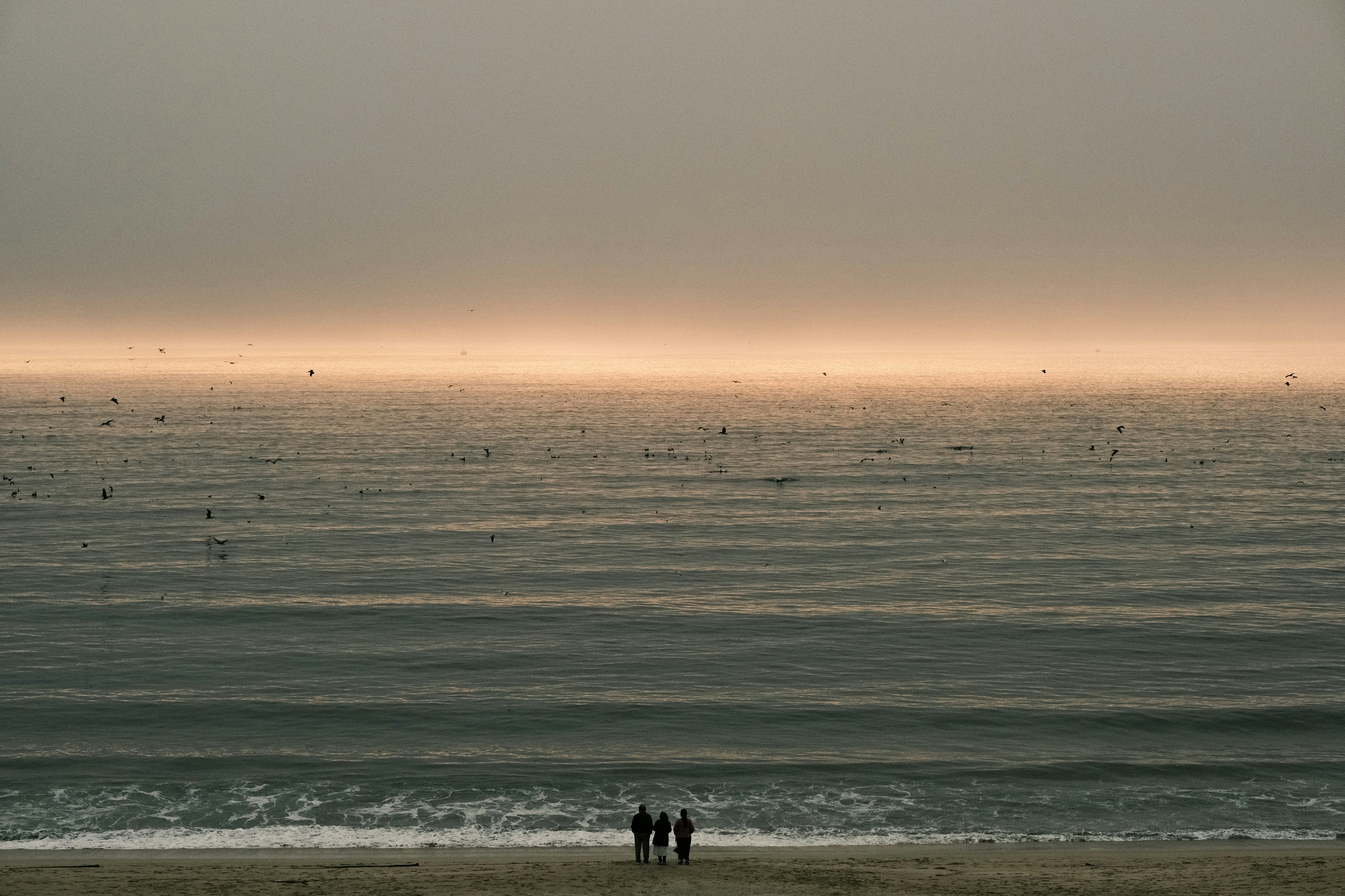 Photo by jacobmitani12