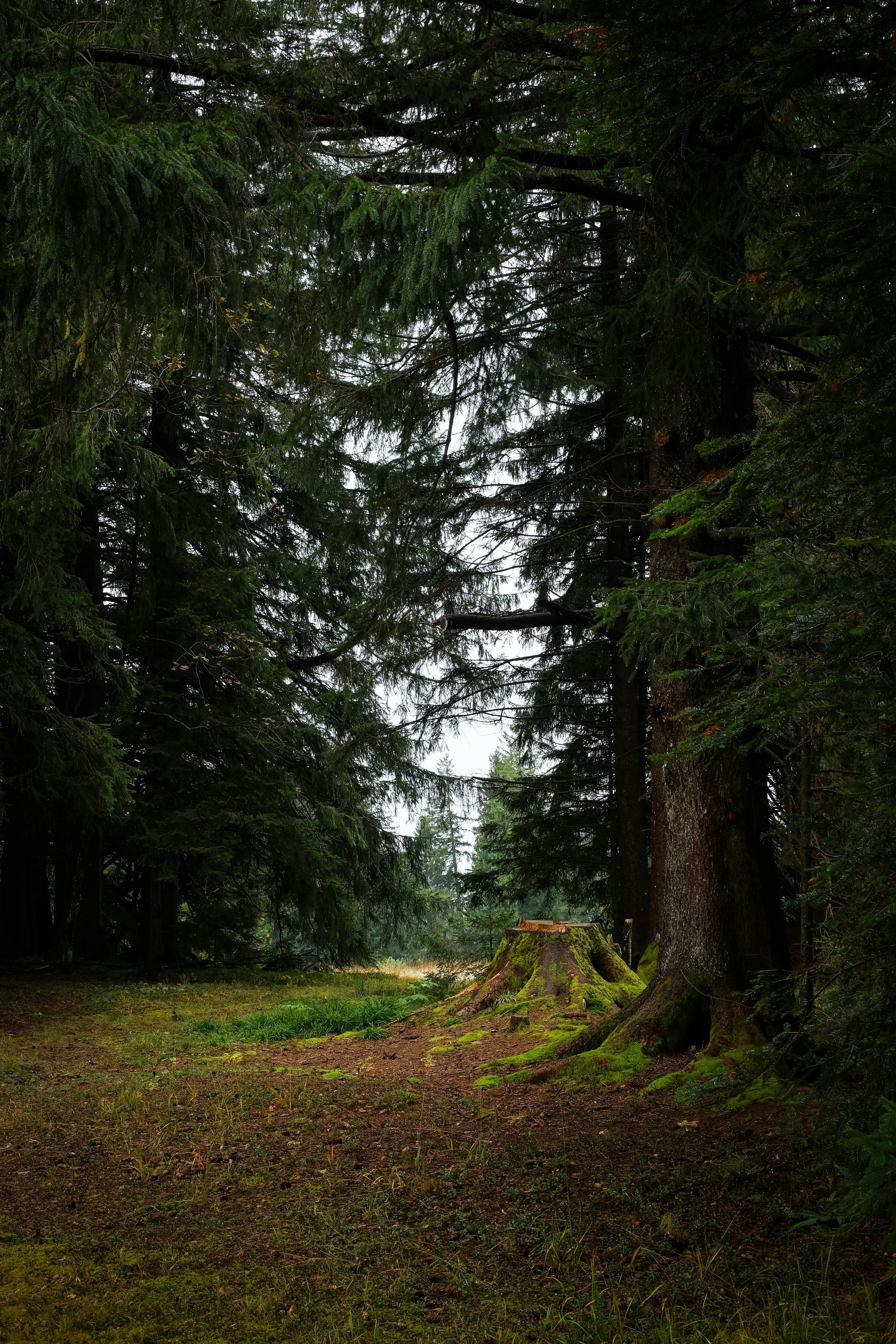 Photo by abkamil2003