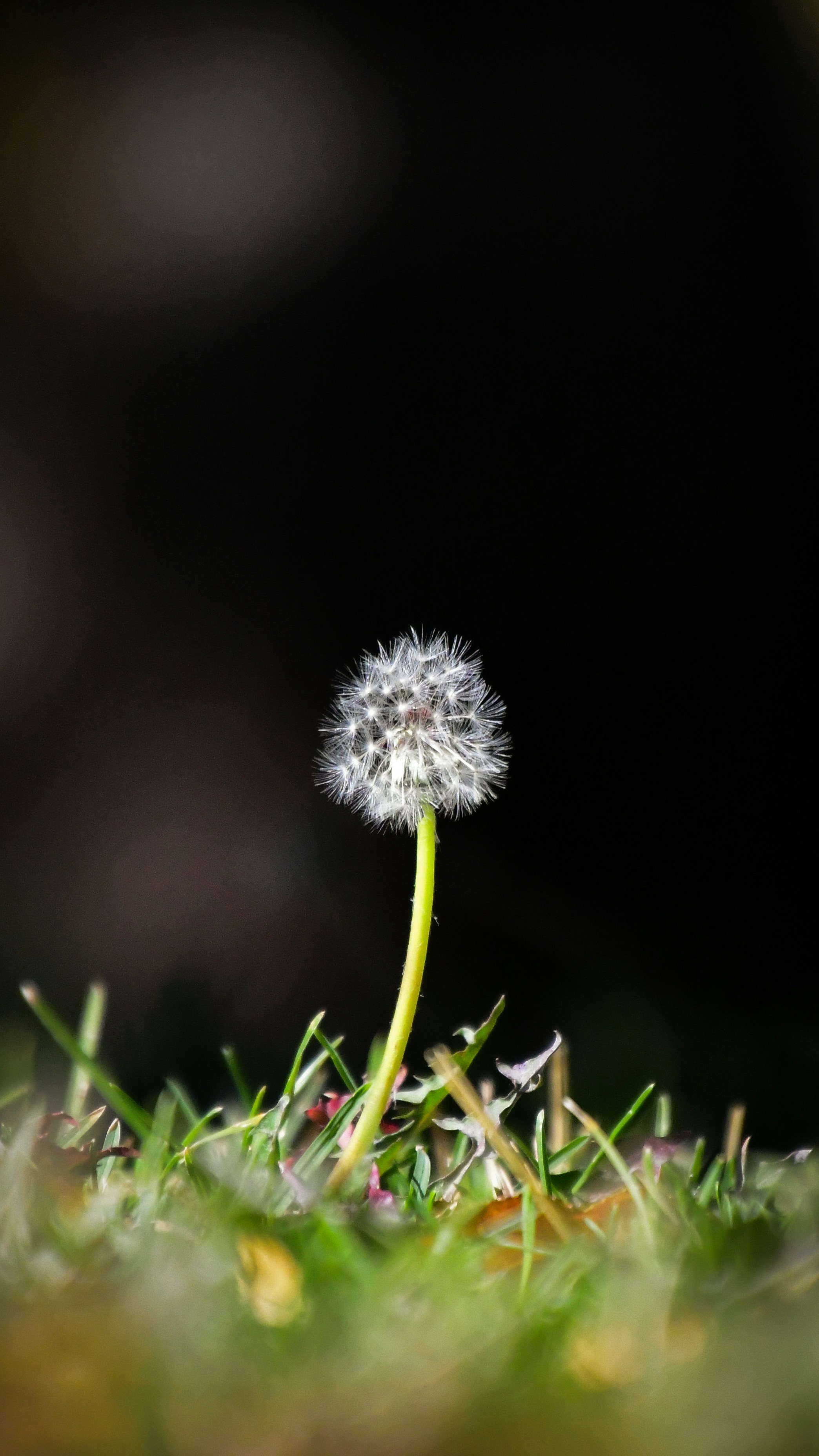 Photo by tory_hoffman