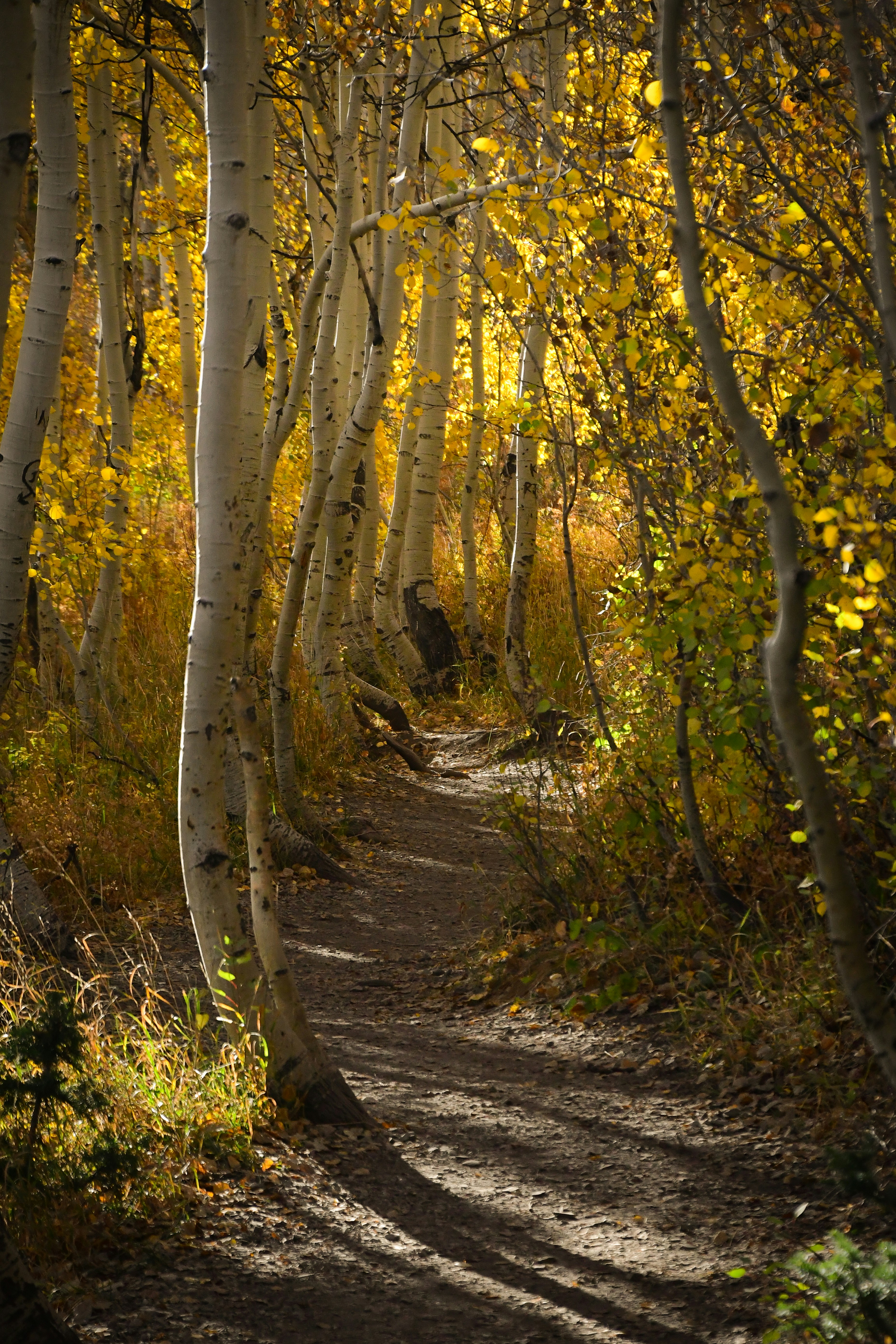 Photo by tory_hoffman