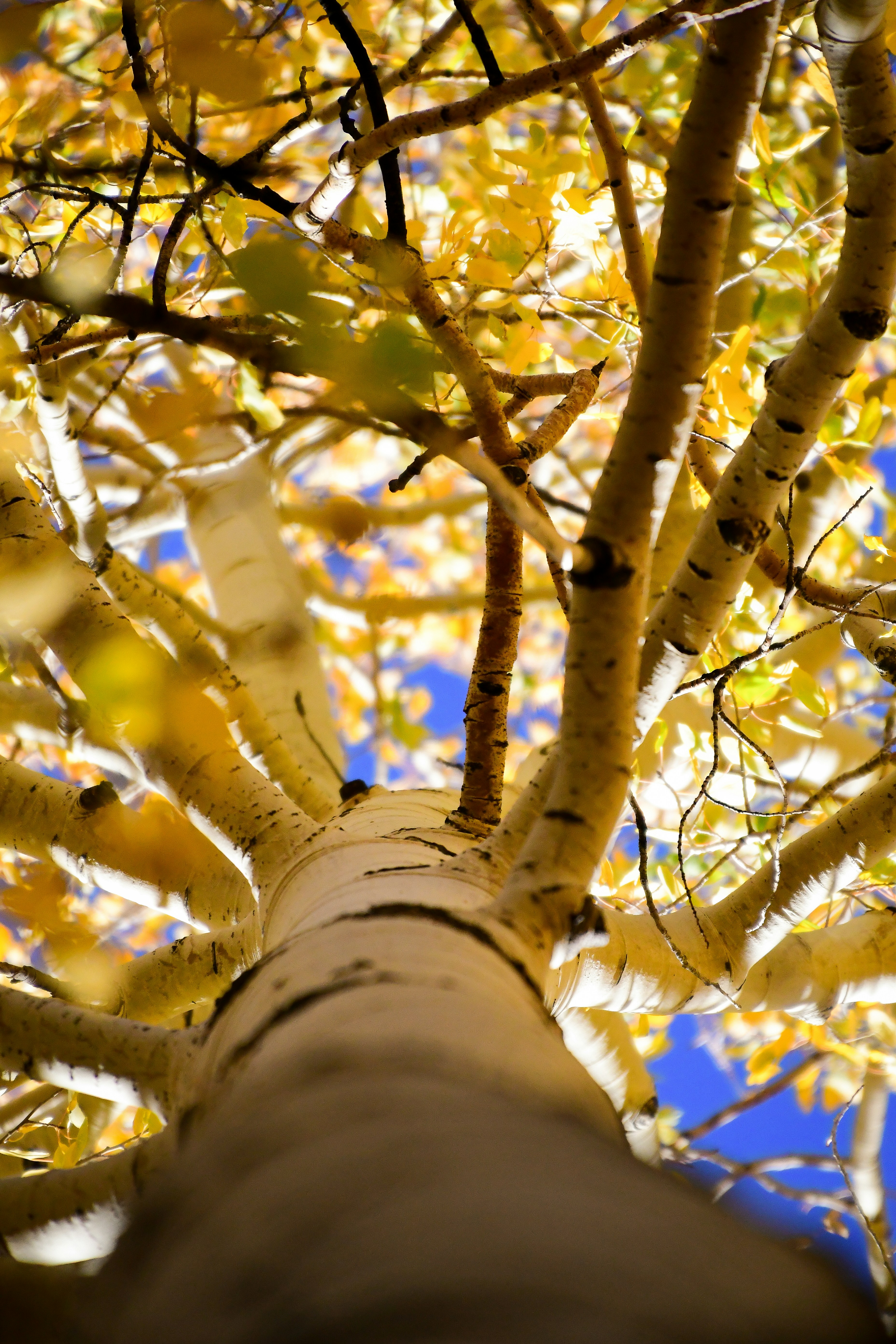 Photo by tory_hoffman