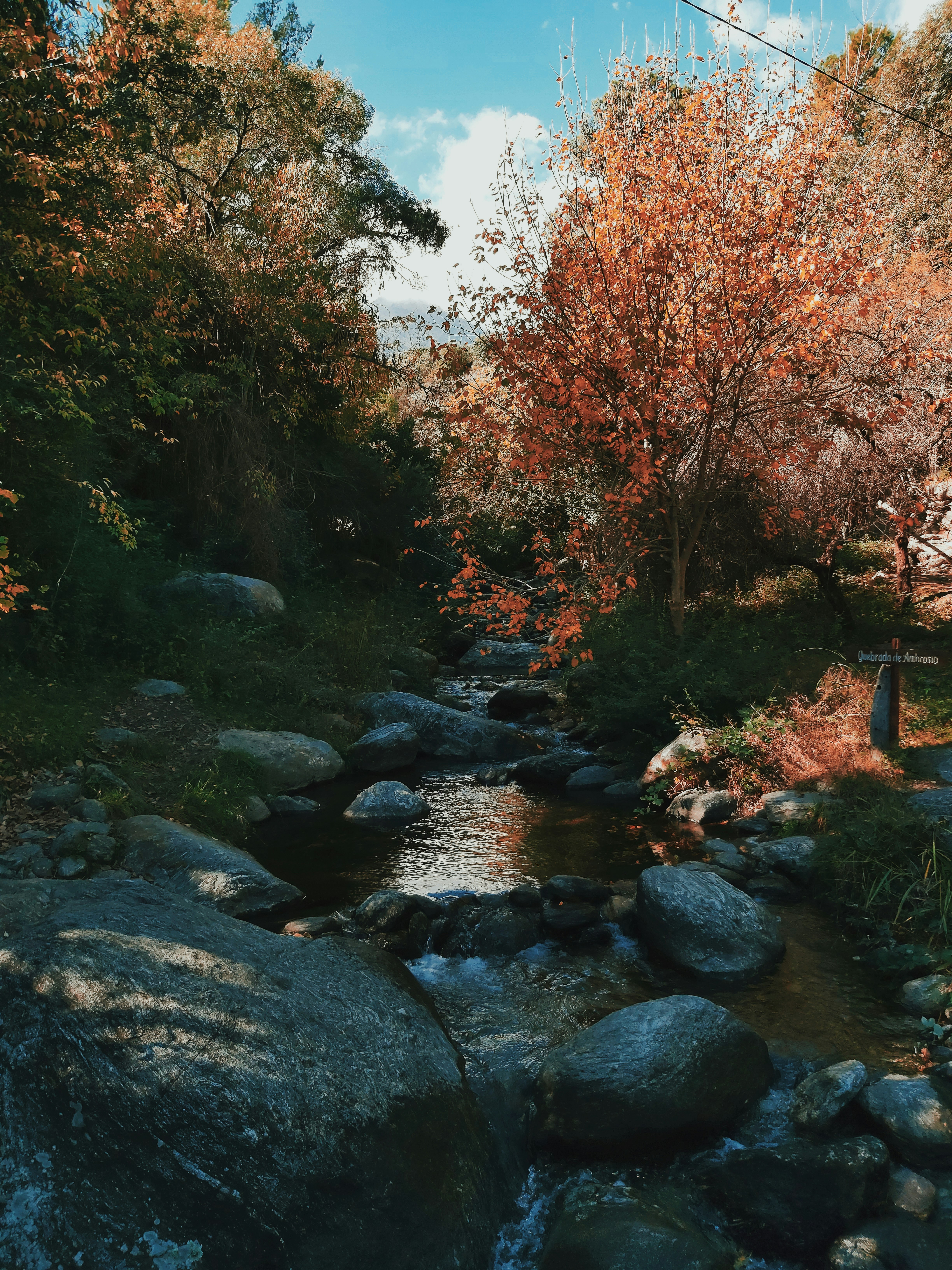 Photo by bunibrunetti