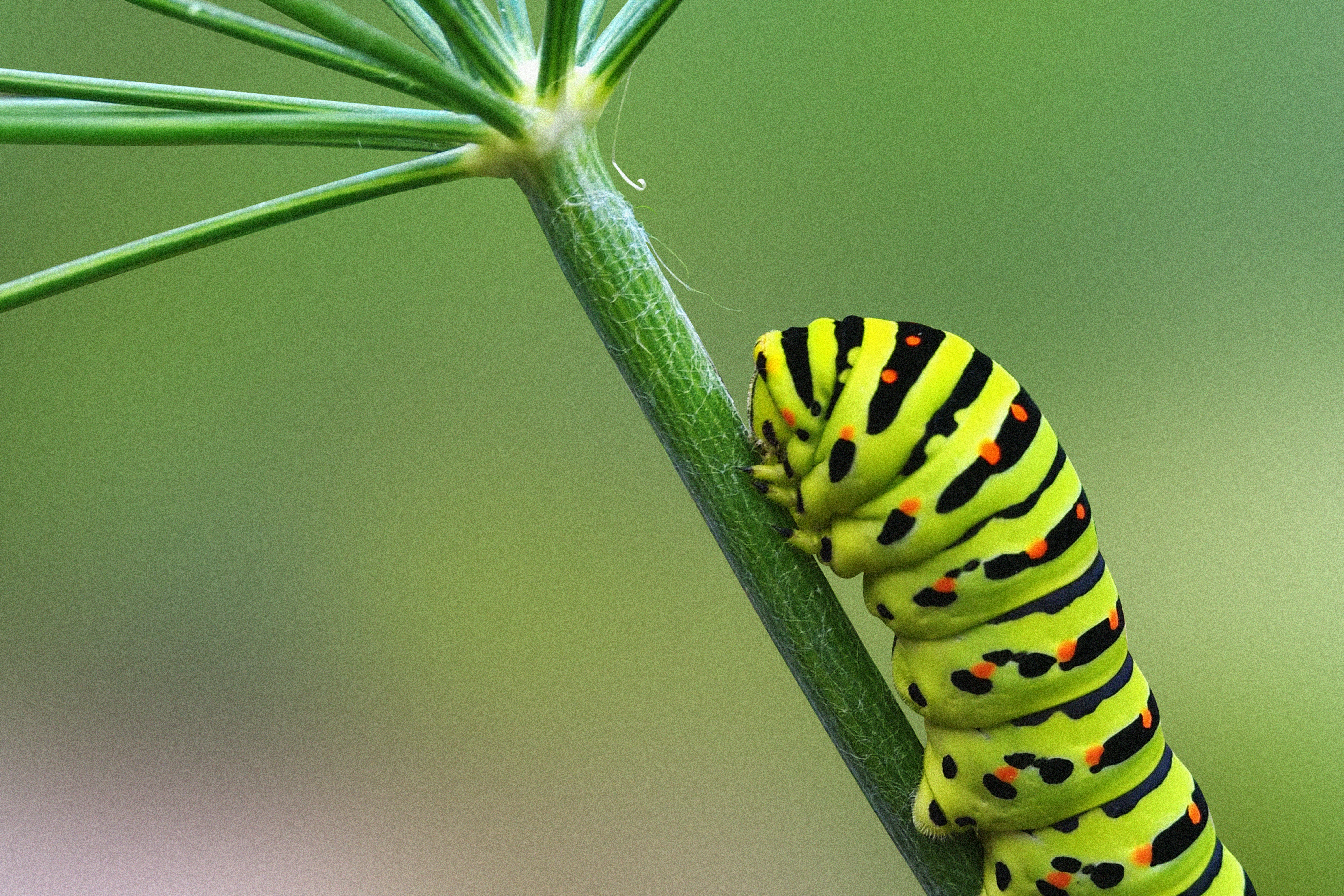 Photo by ionemchinov