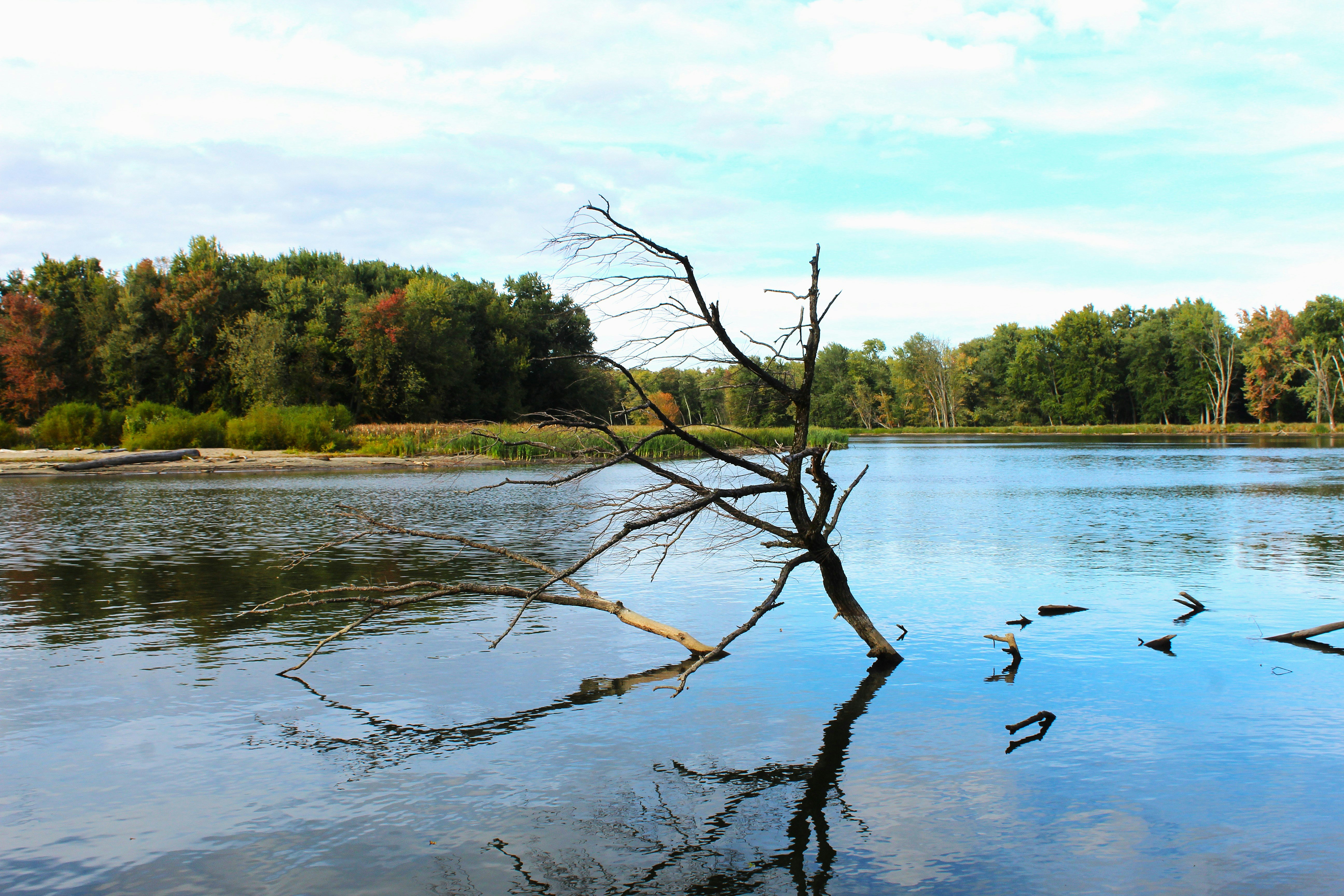 Photo by paulitaanna92