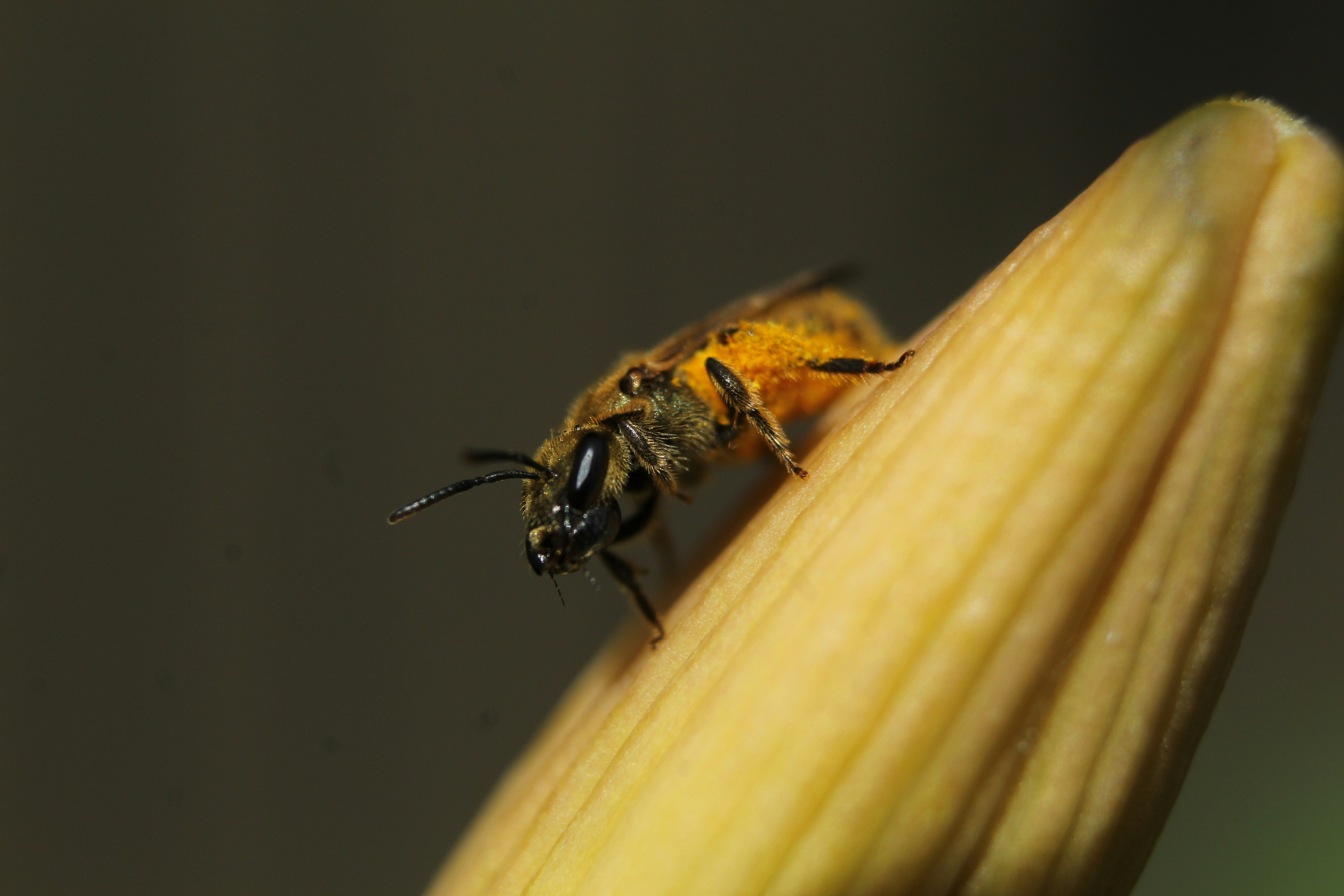 Photo by paulitaanna92