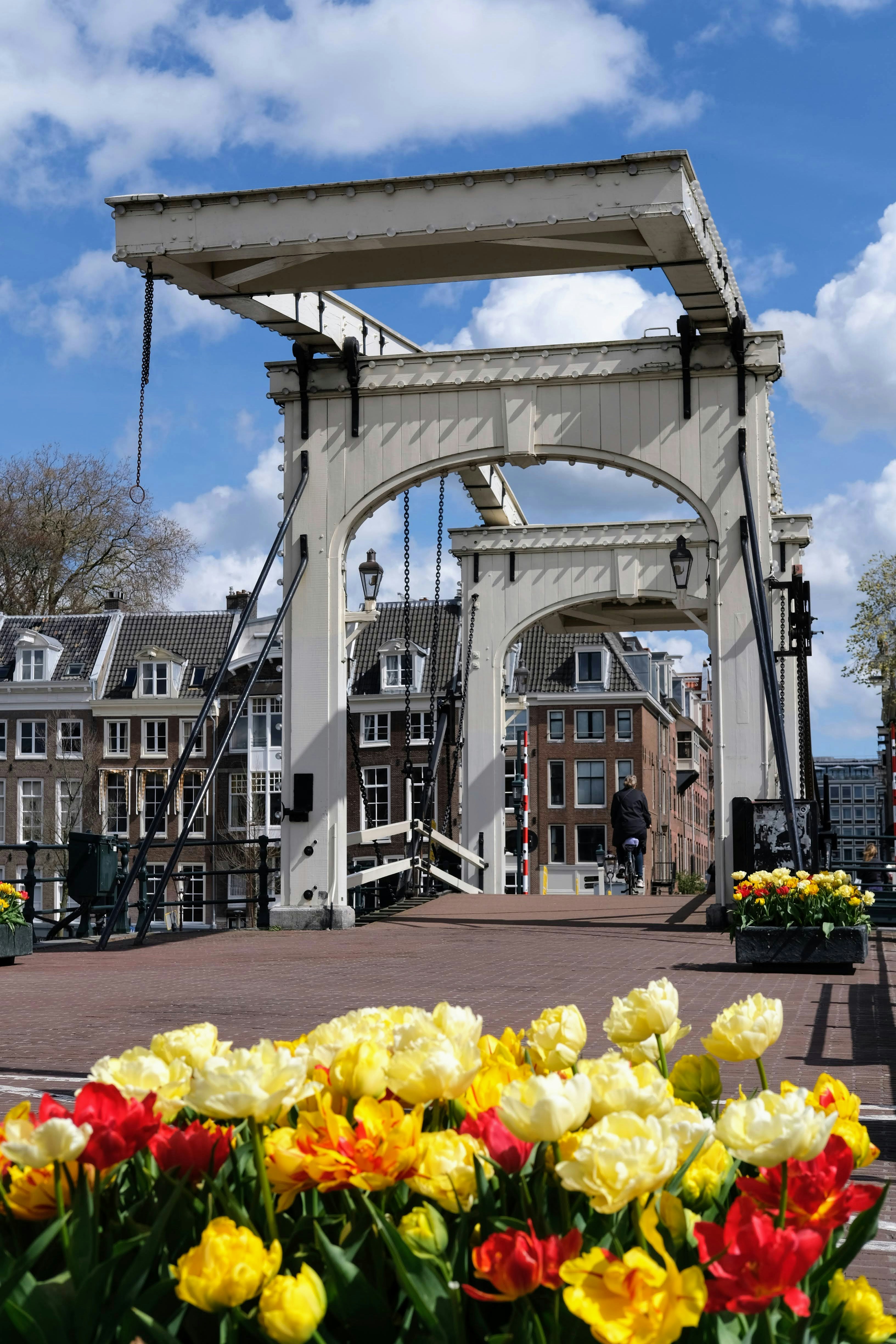 A bunch of flowers that are by a bridge