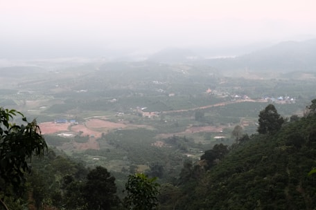 A view of a valley with trees and hills in the distance