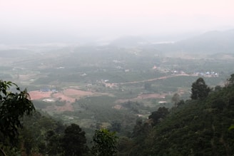 A view of a valley with trees and hills in the distance