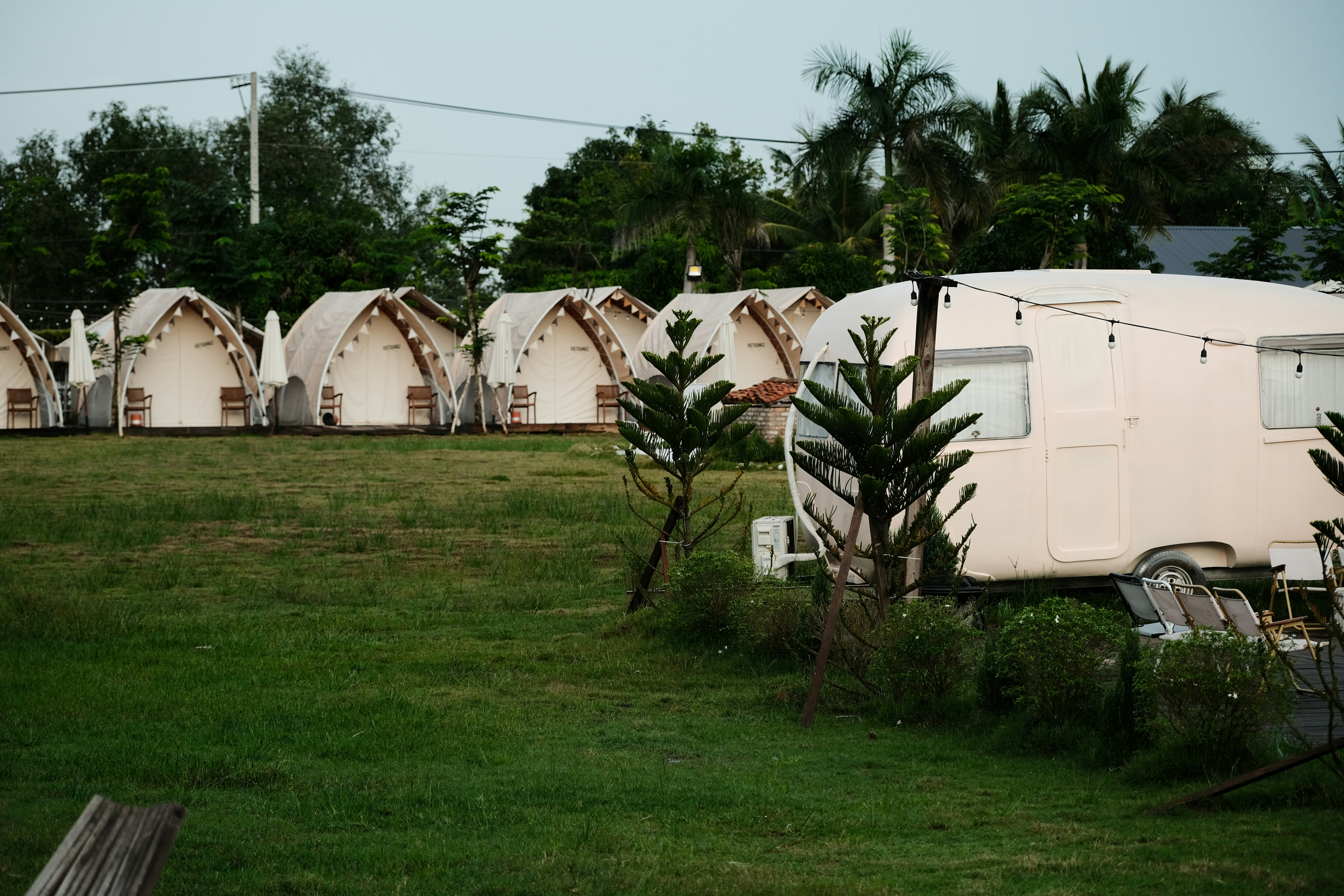 A row of white tents sitting next to a lush green field