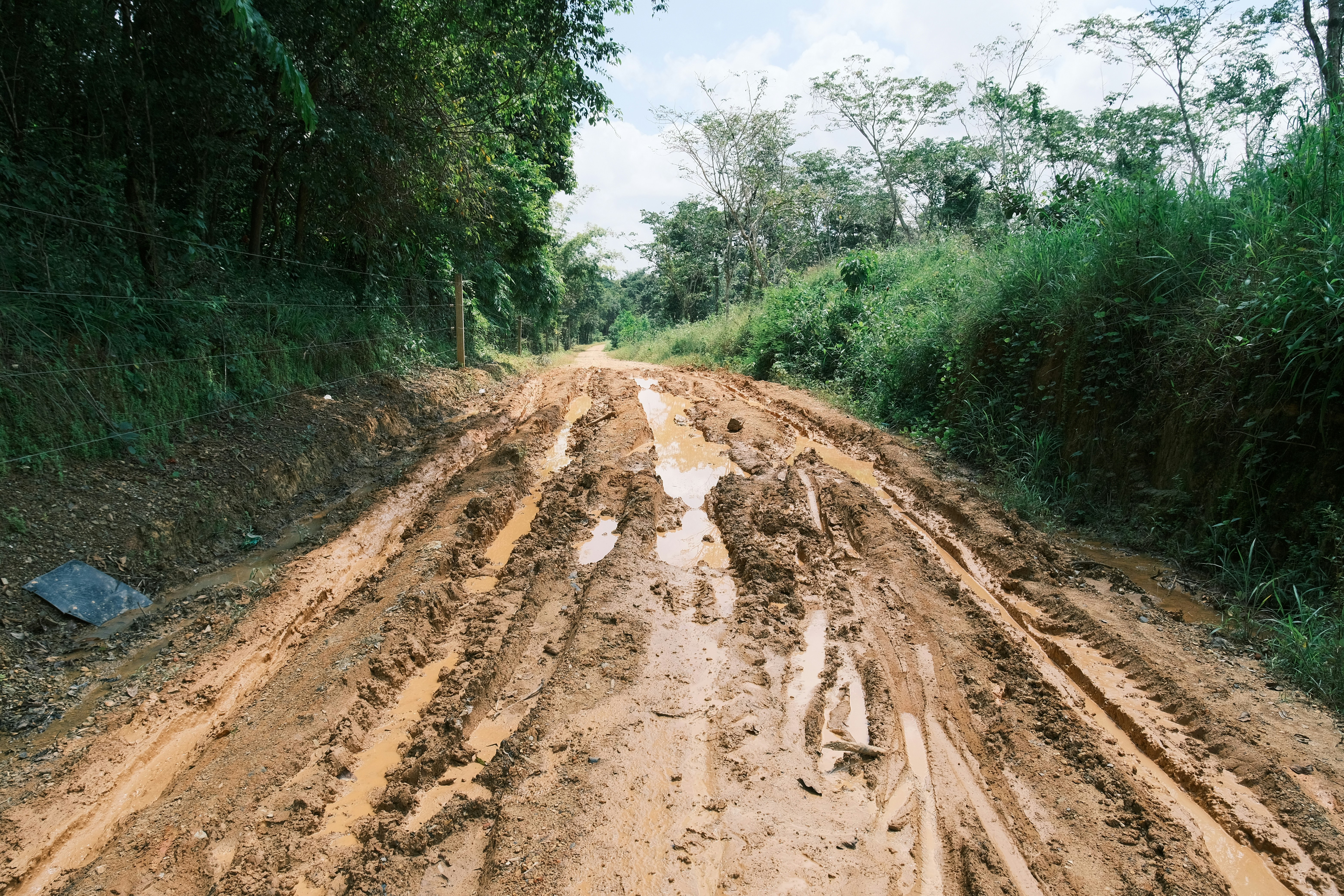 A muddy dirt road in the middle of a forest
