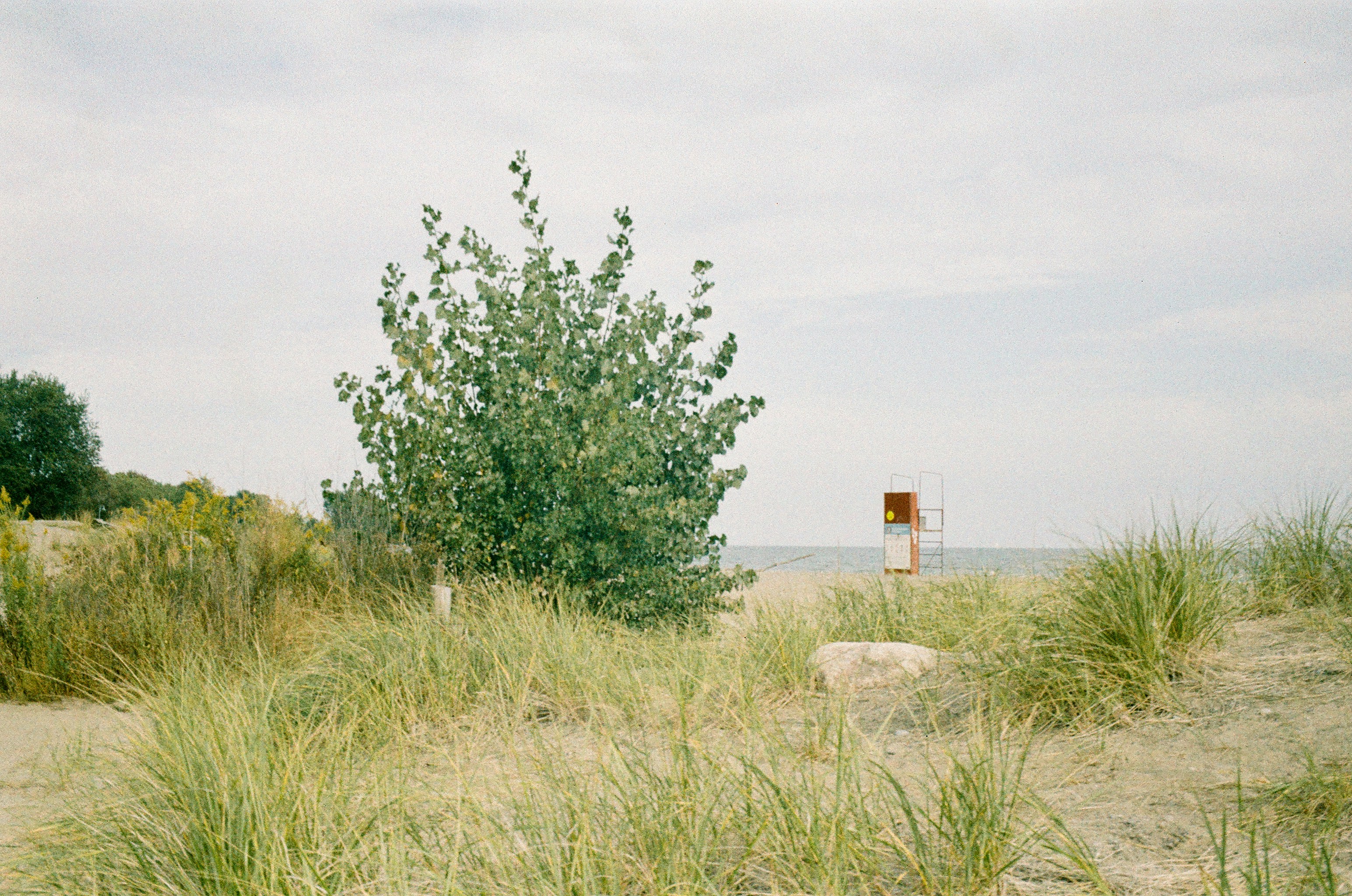 Semaglutide in Coltons Point, MD: A Local Guide to Modern GLP-1 Weight-Loss Care