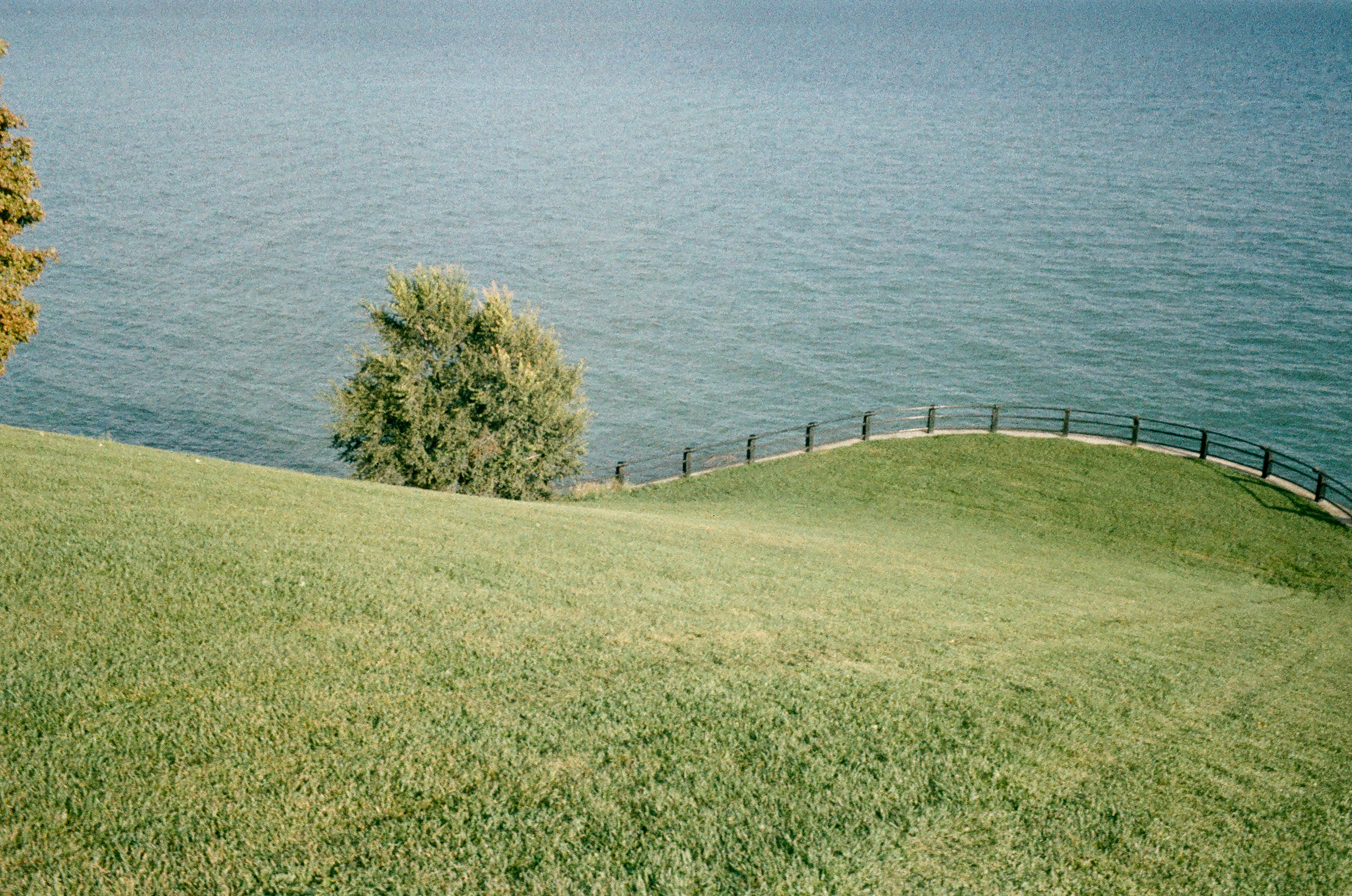 A grassy hill overlooking a body of water