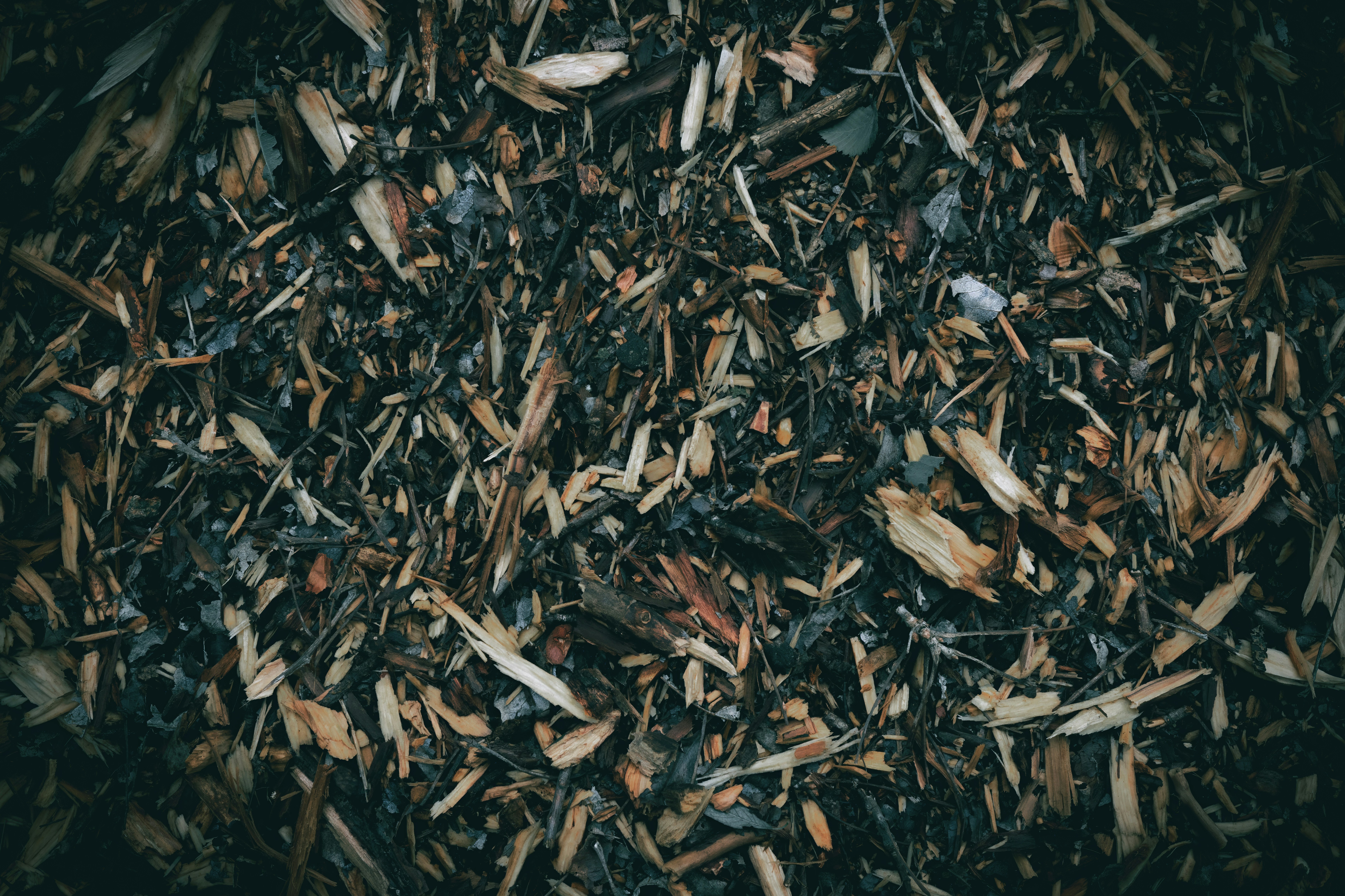 A close up of a pile of wood shavings