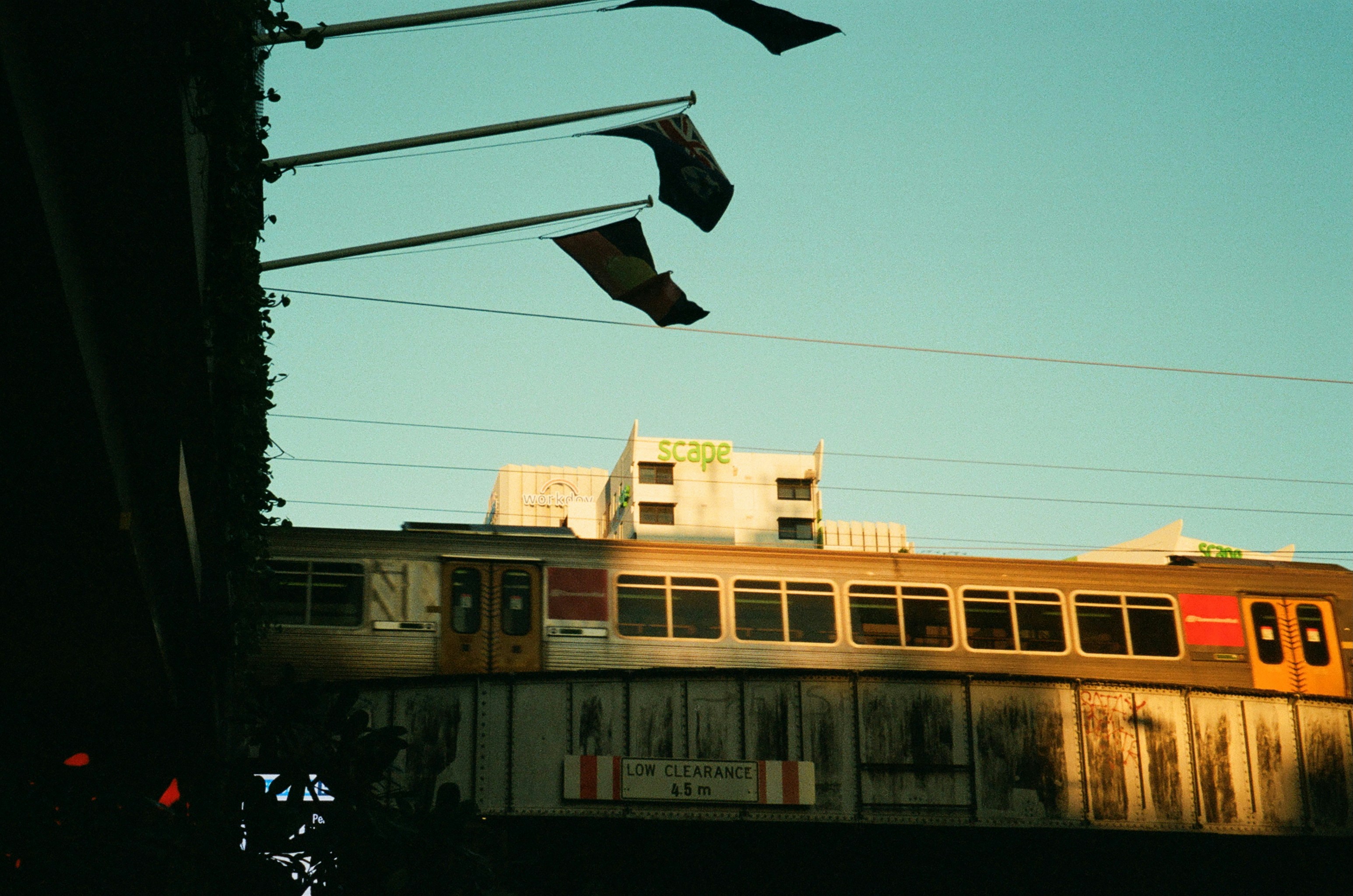 Photo by wilson901124