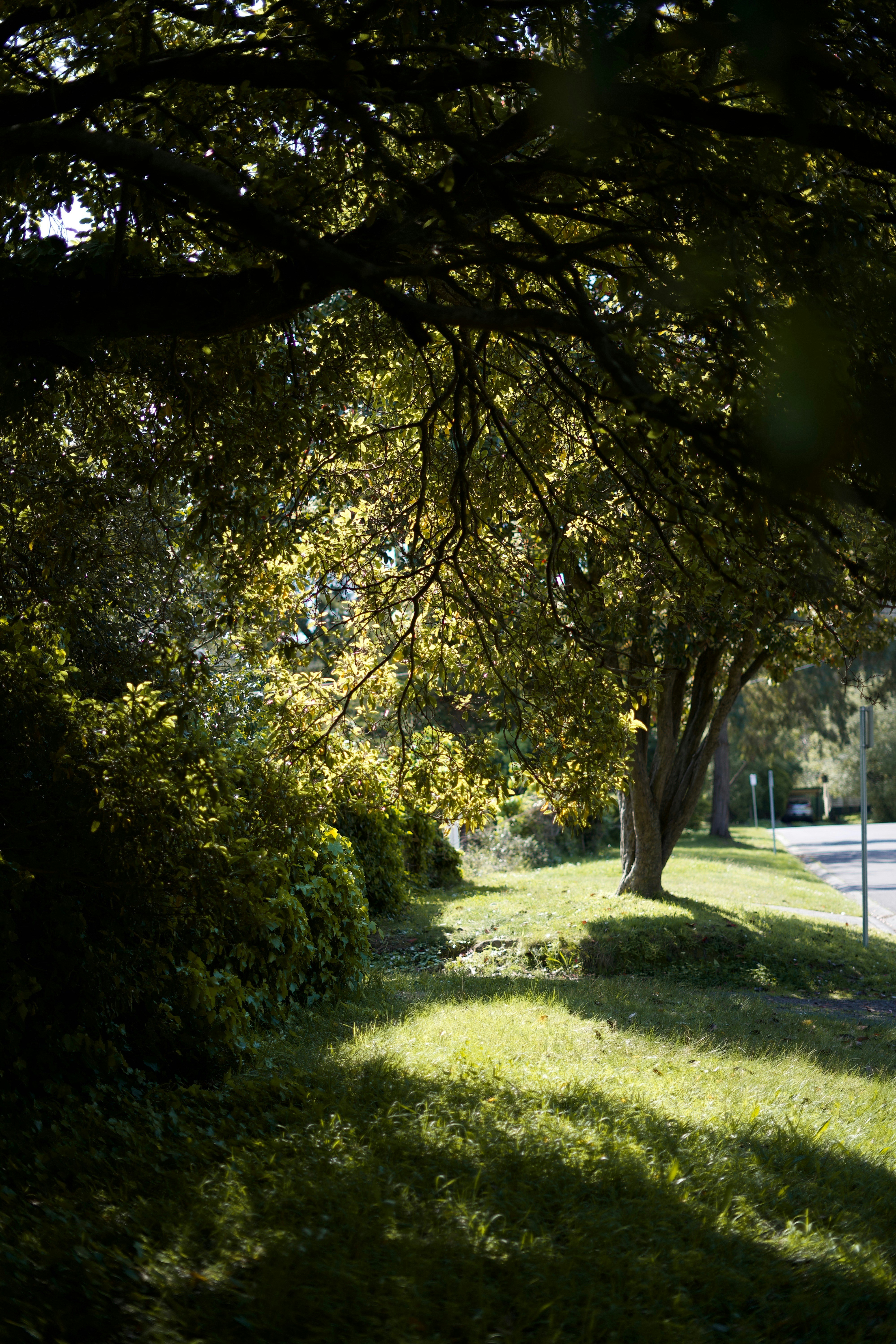 Photo by kris_verityamm