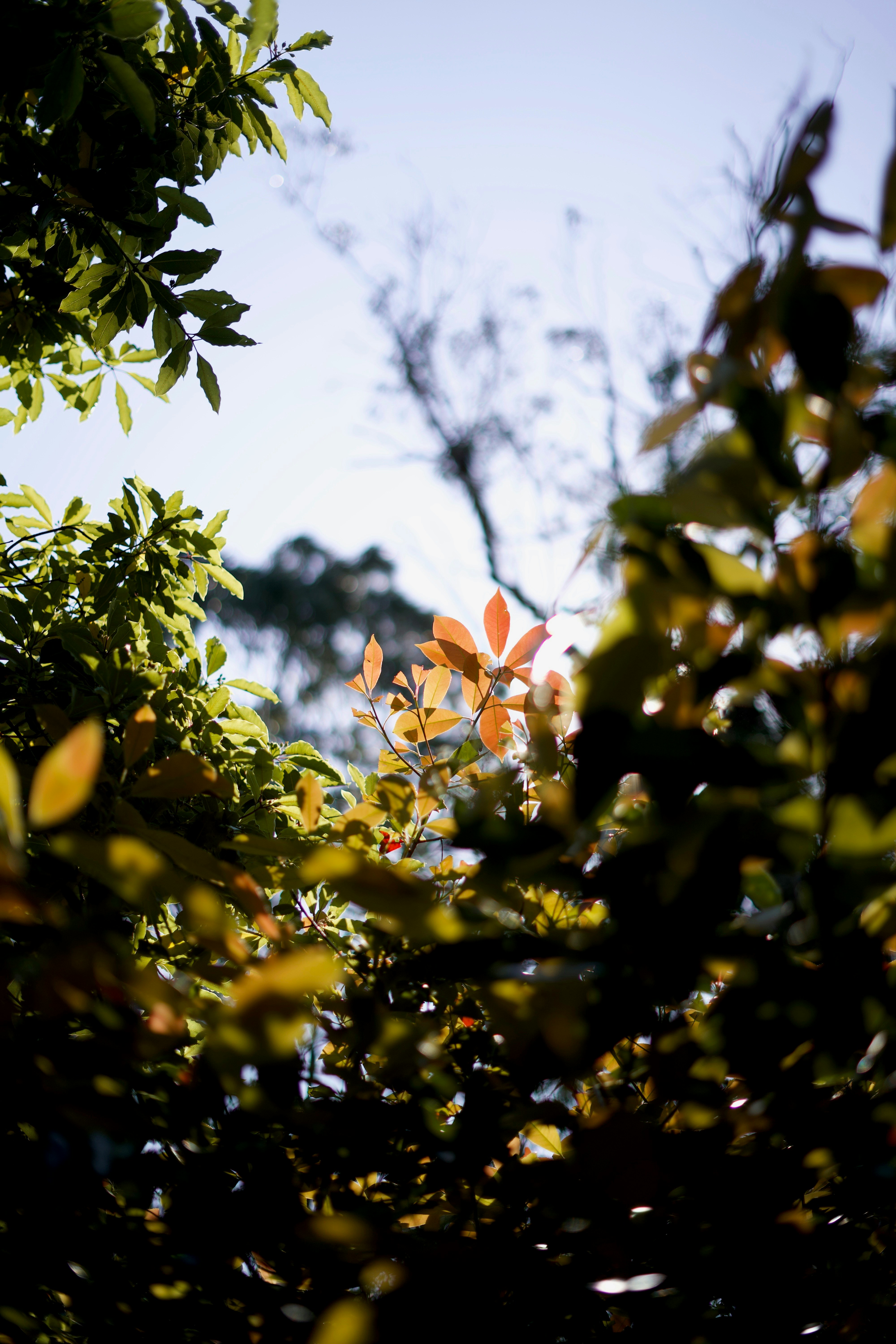 Photo by kris_verityamm