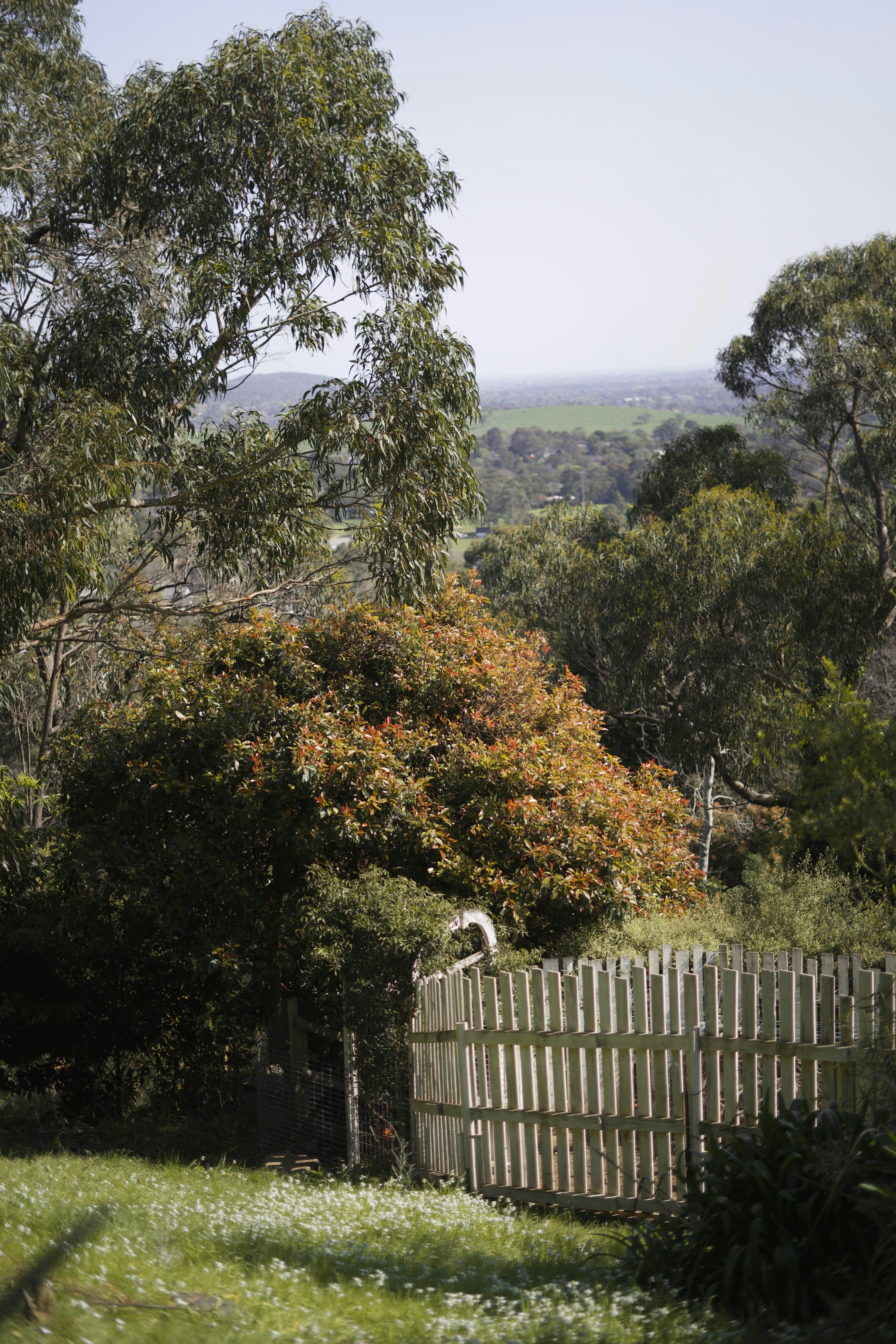 Photo by kris_verityamm