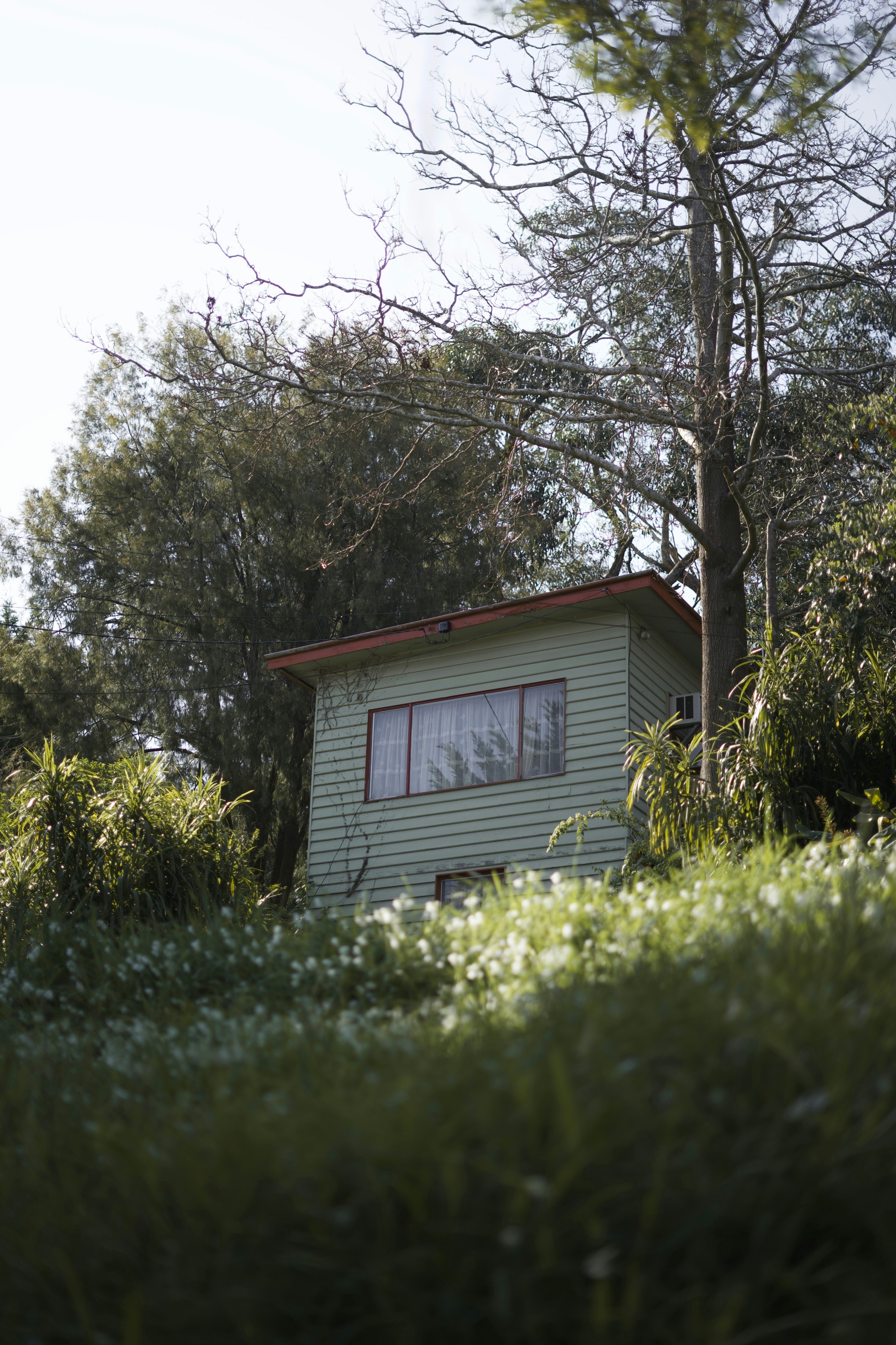 Photo by kris_verityamm