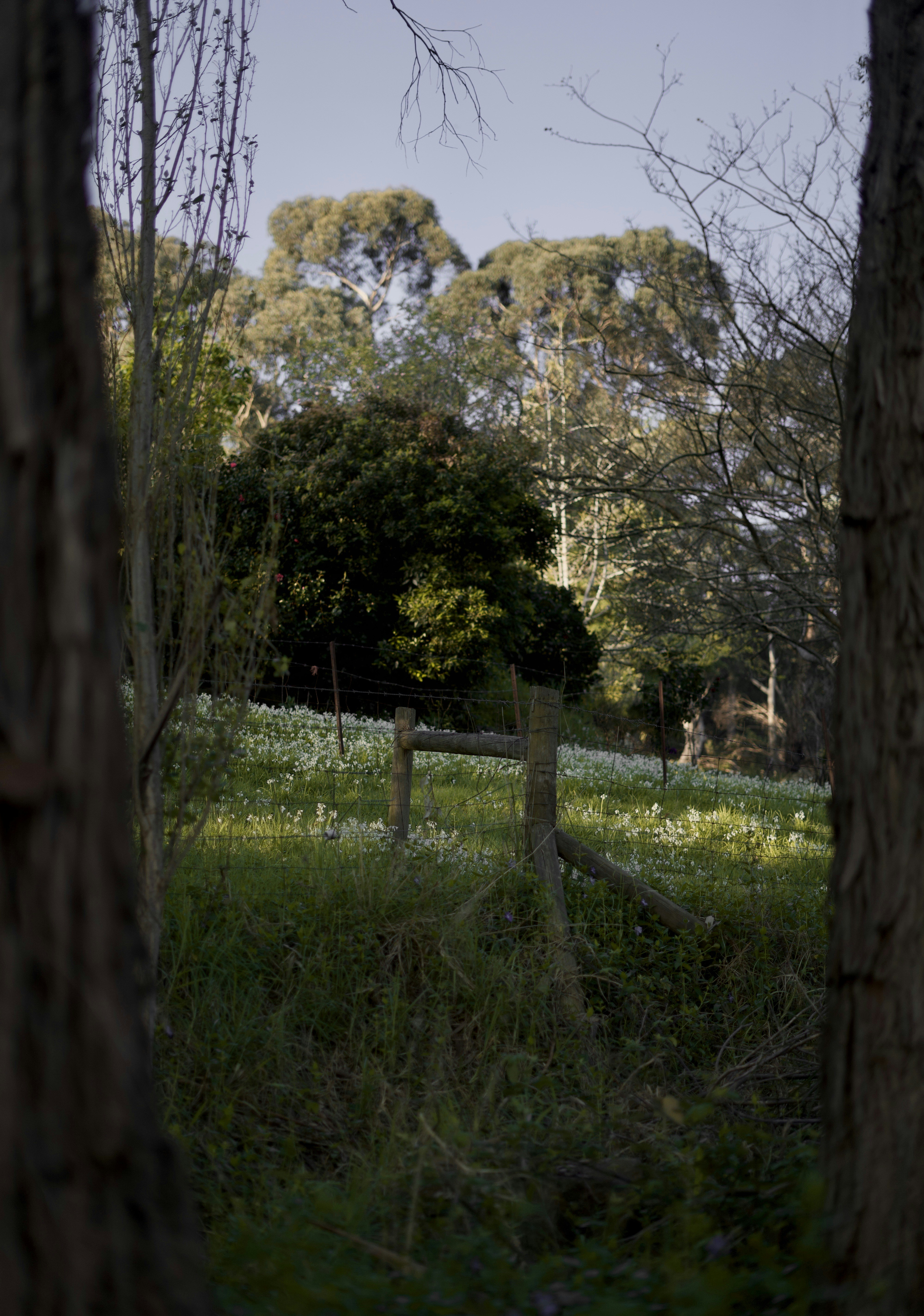 Photo by kris_verityamm