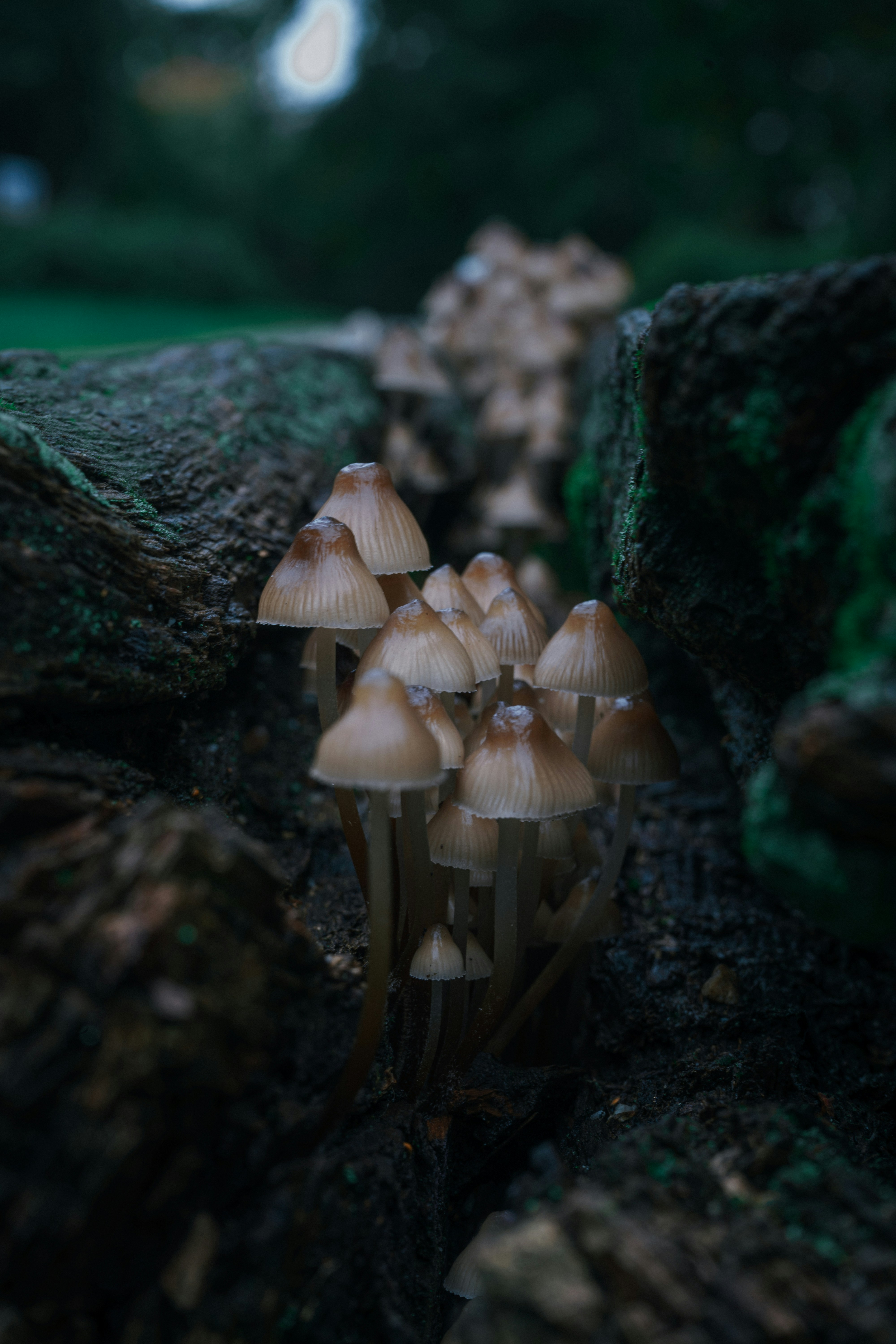Photo by userwithcamera