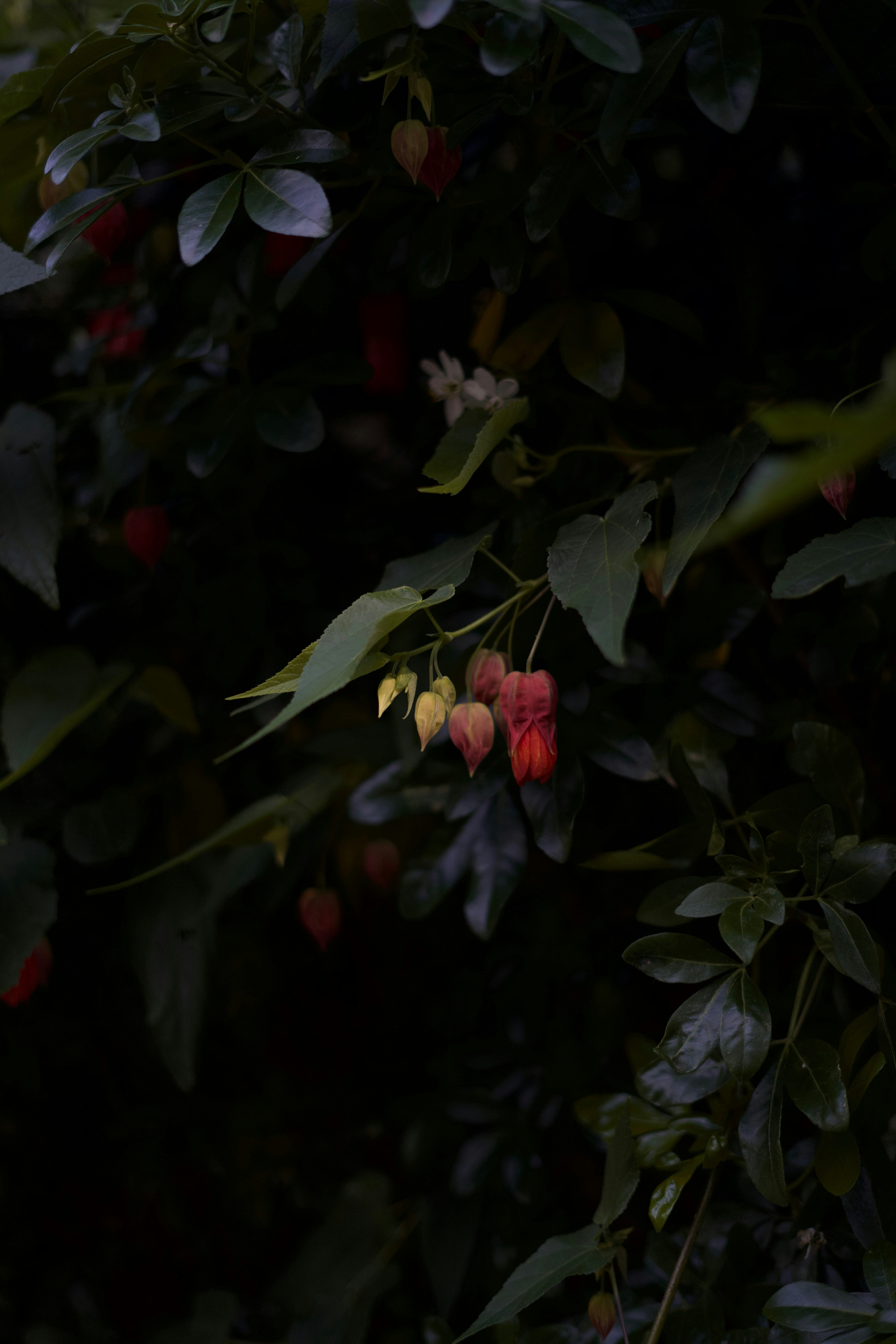 Photo by kris_verityamm