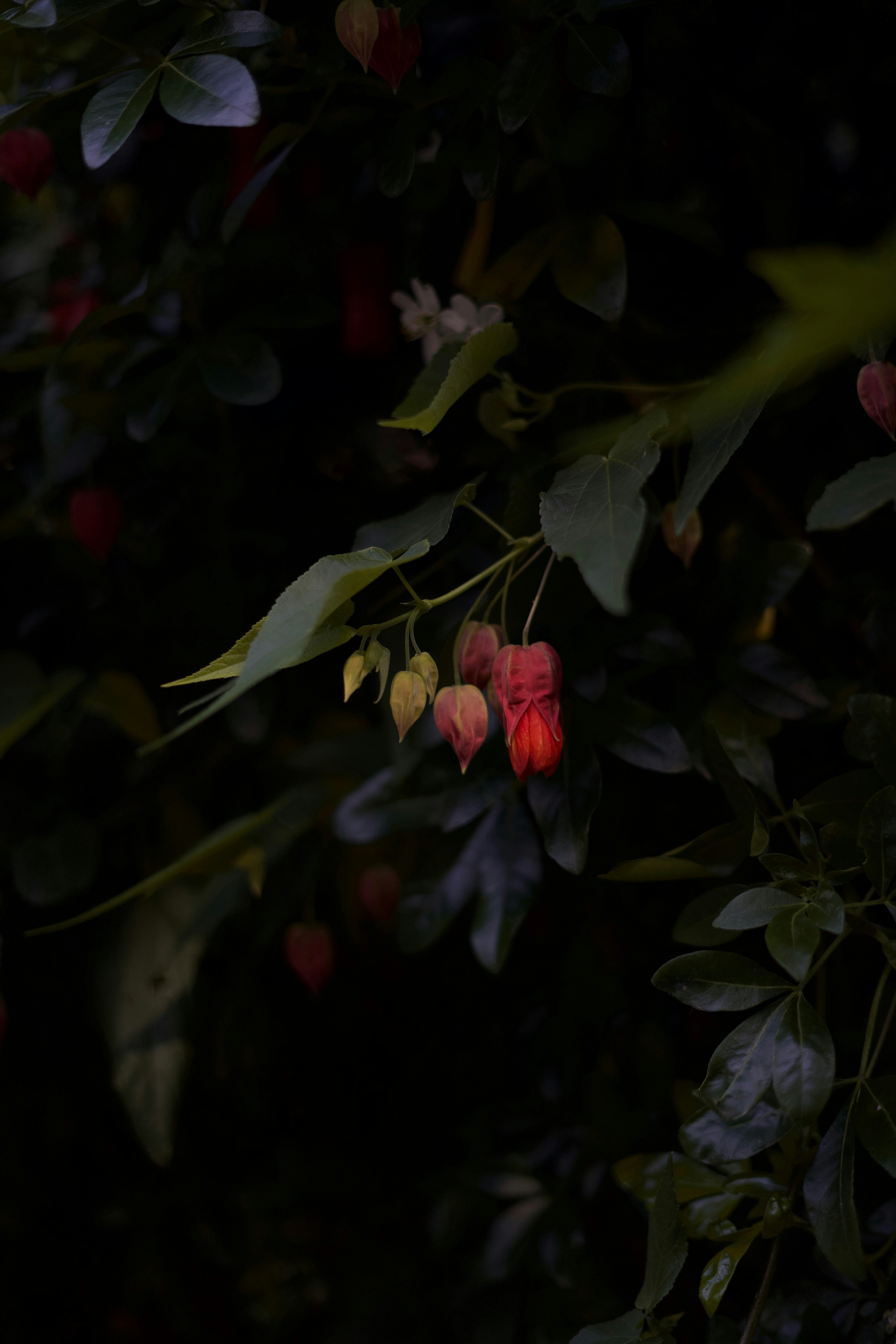 Photo by kris_verityamm