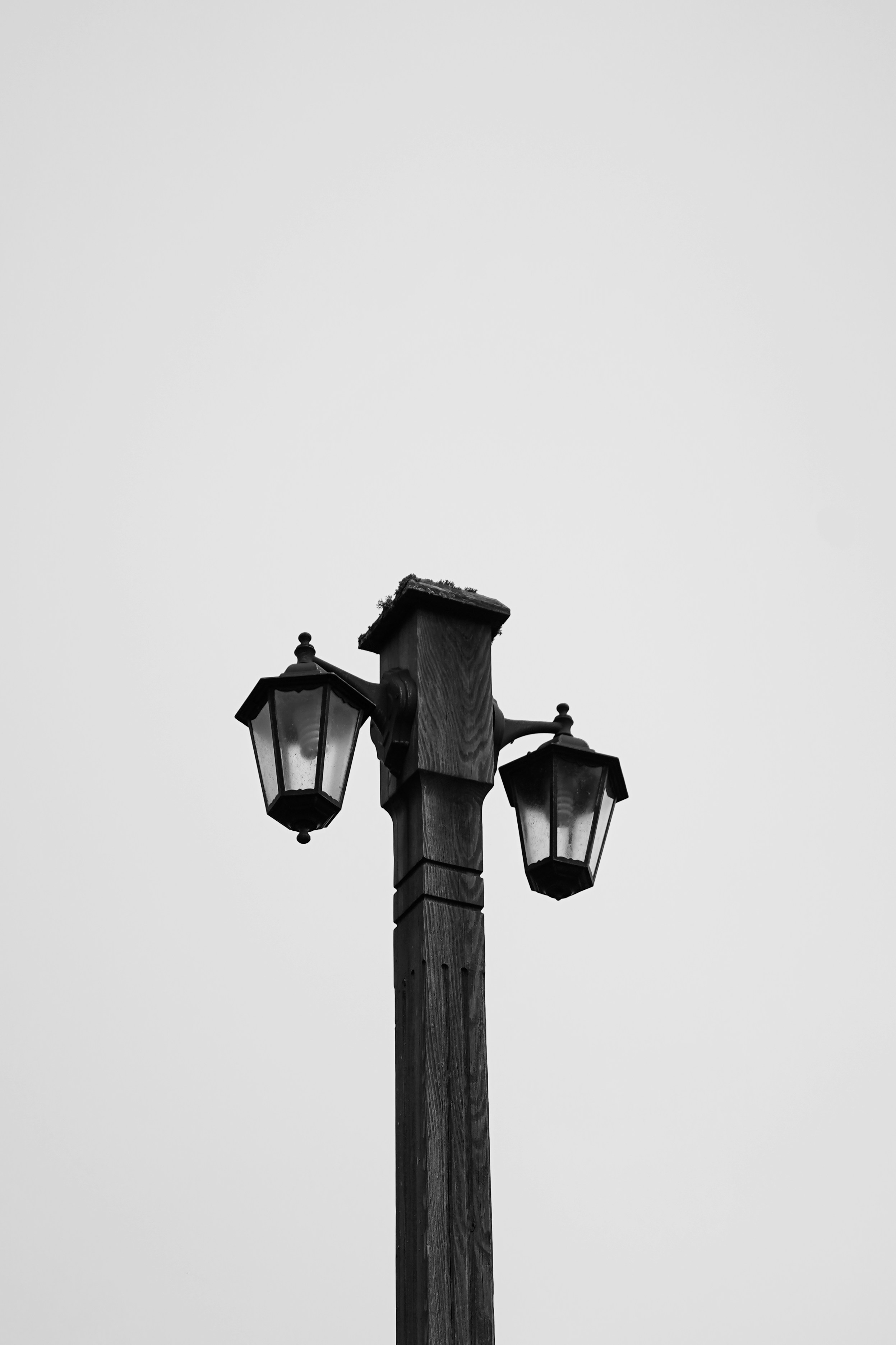 Photo by nedimshoots