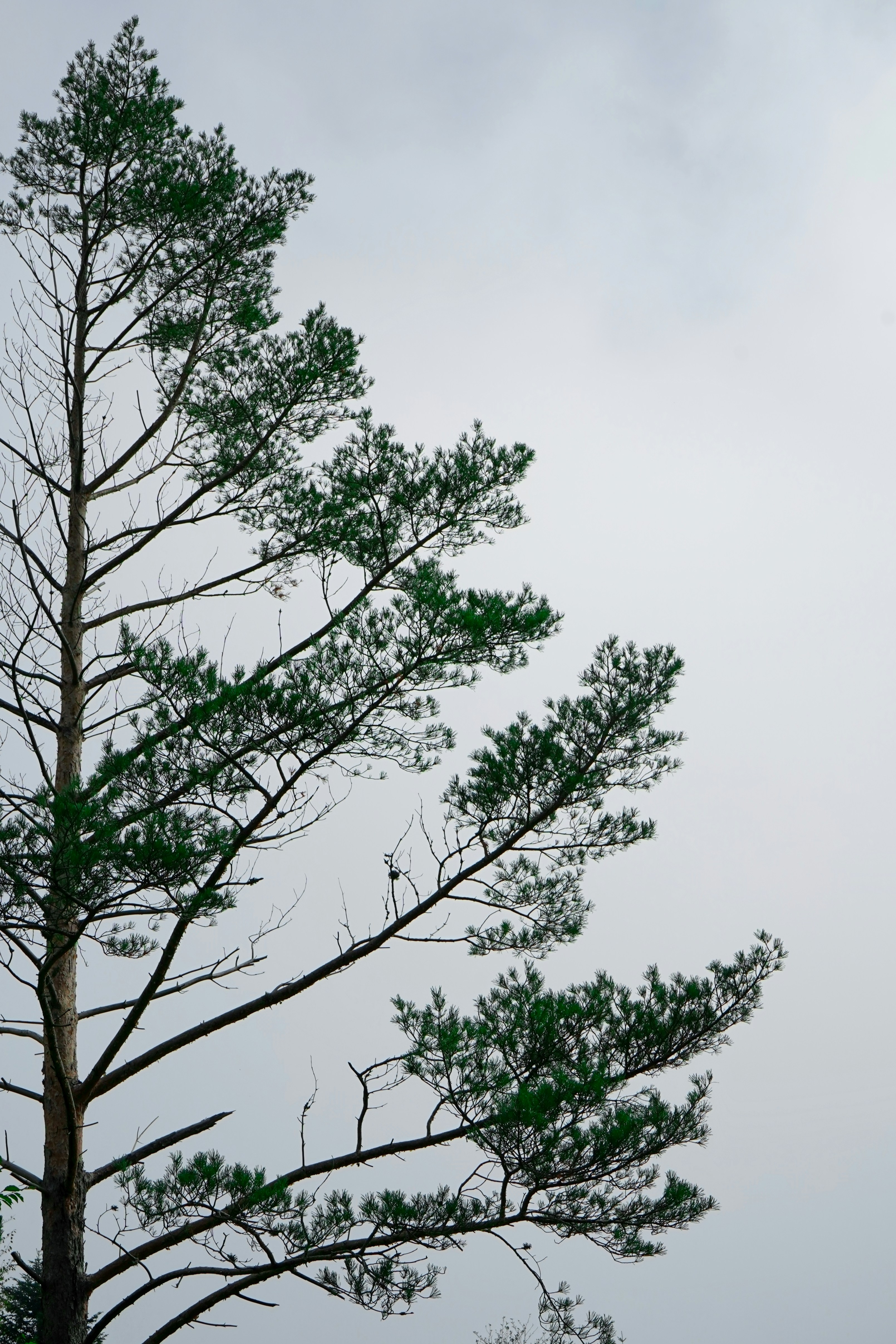 Photo by nedimshoots