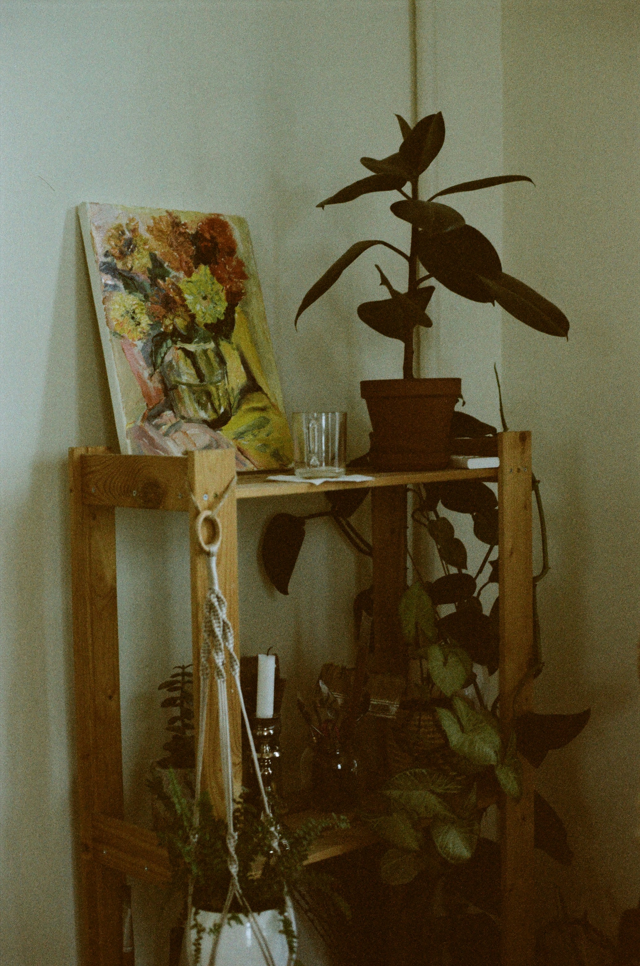 A shelf with a potted plant on top of it photo – Free Candle Image on ...